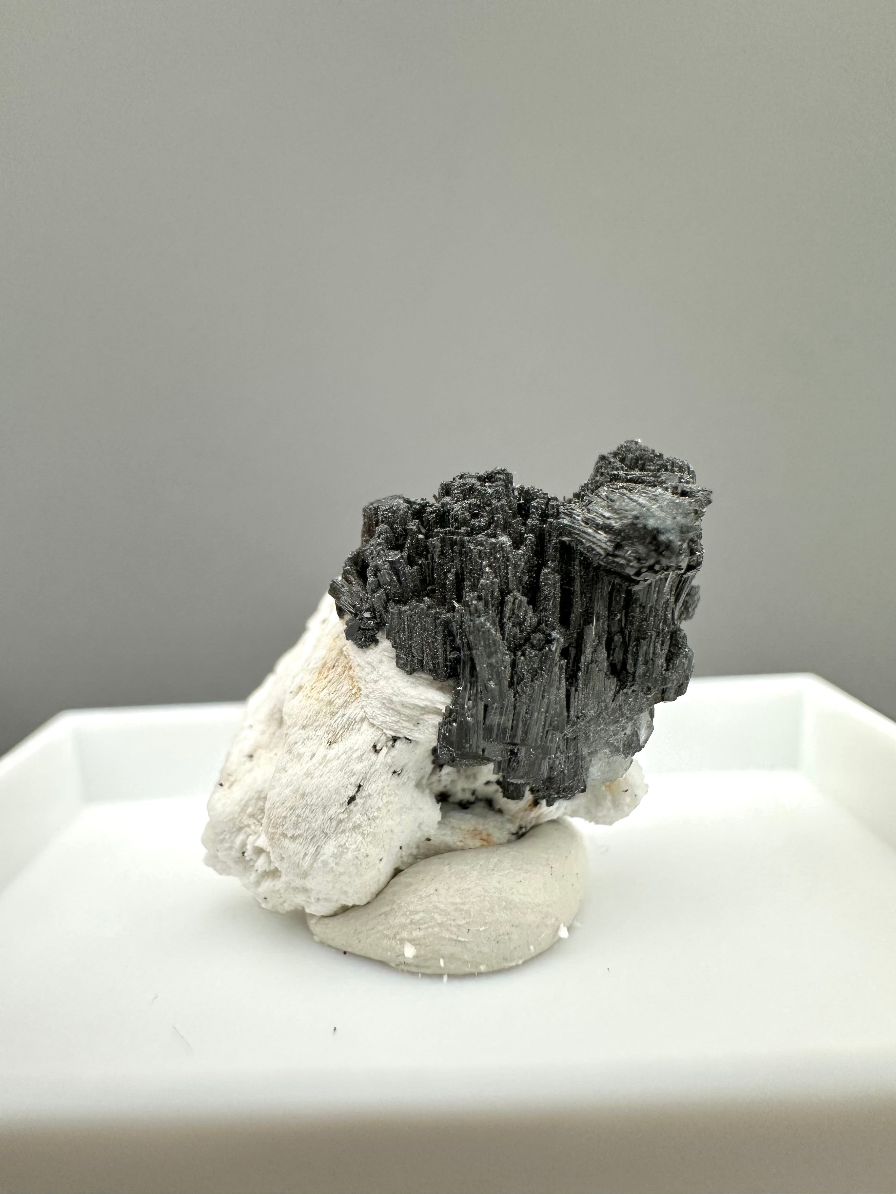 Schorl – Erongo, Namibia - MVK427