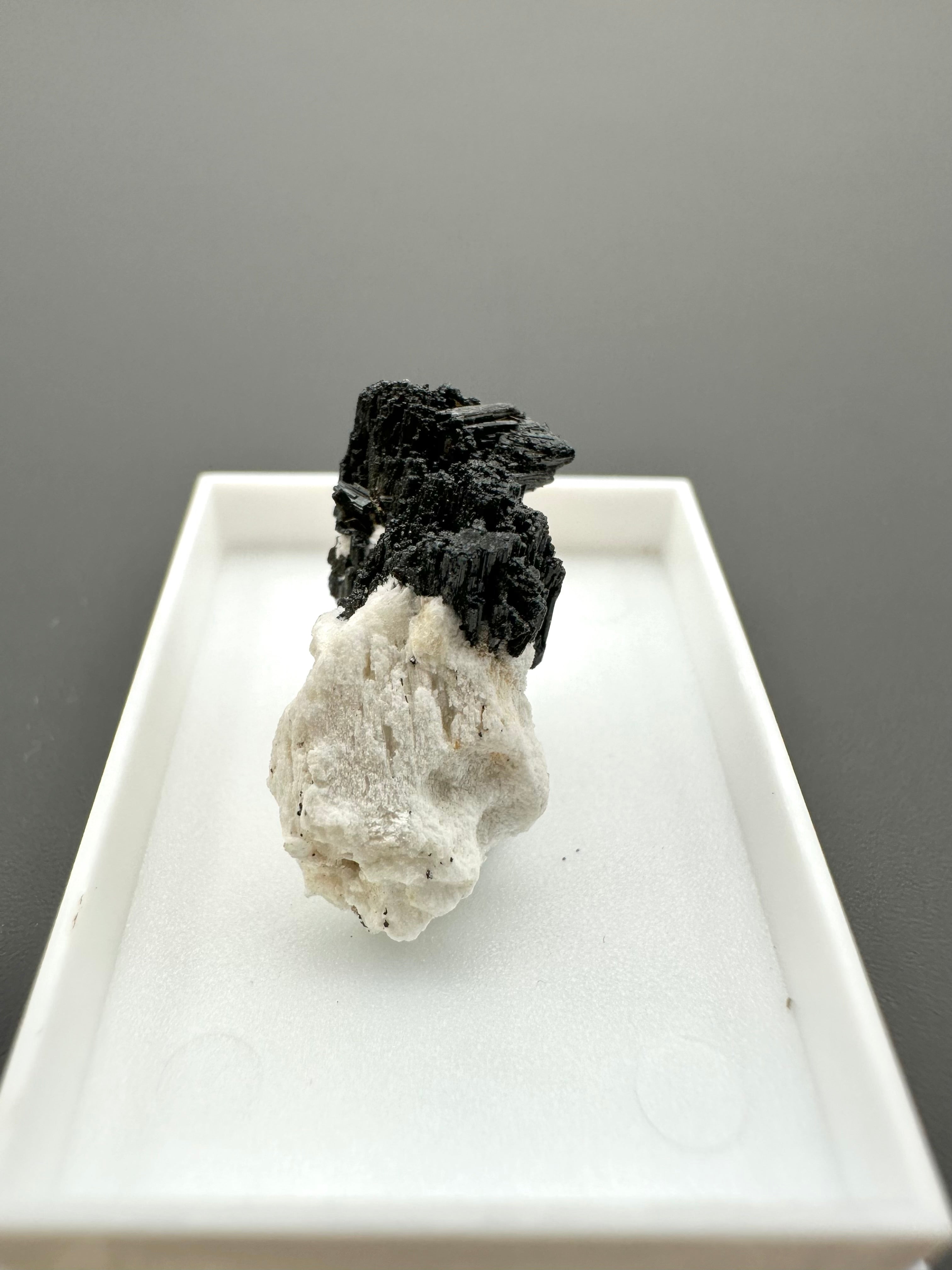 Schorl – Erongo, Namibia - MVK427