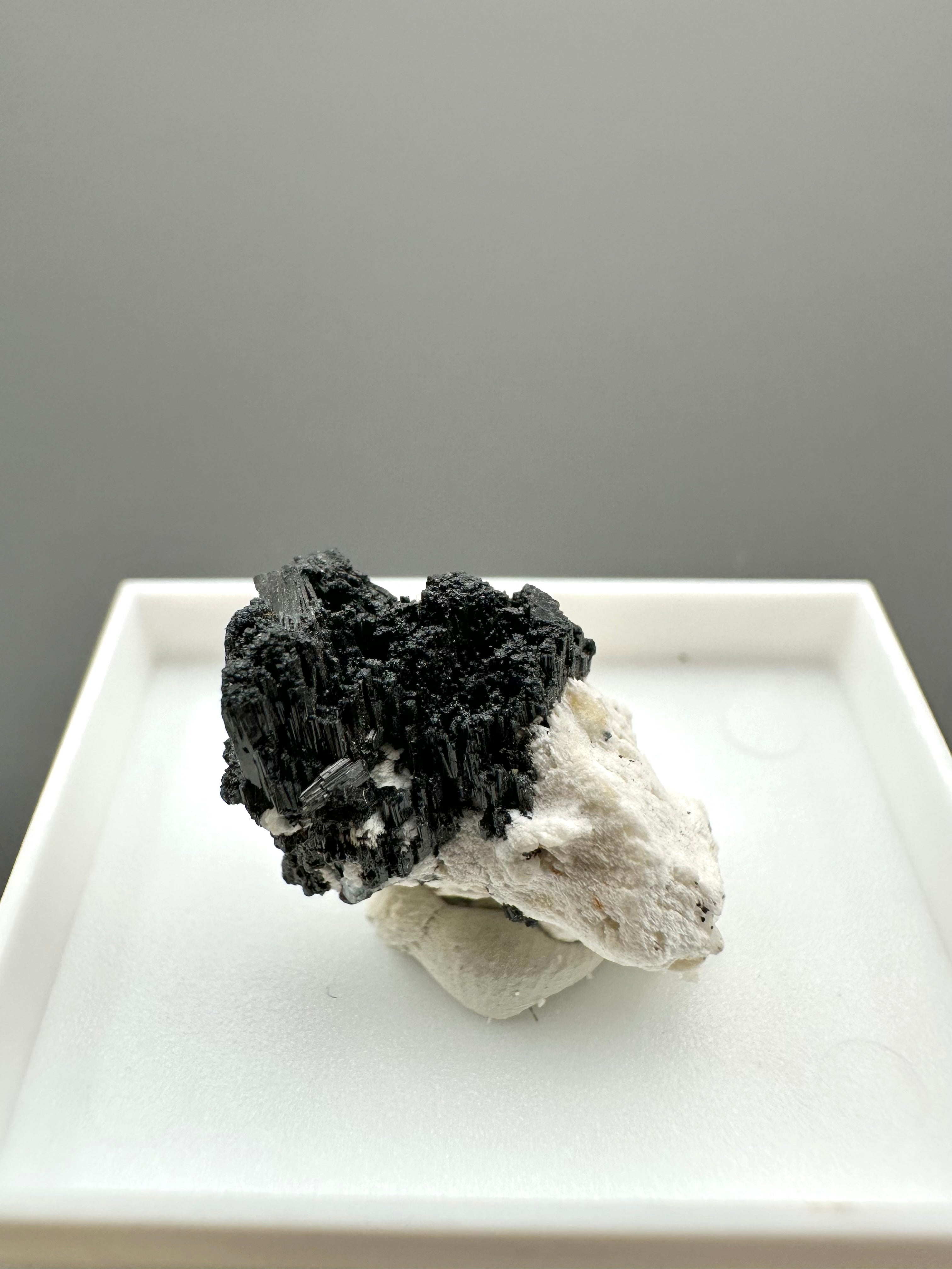 Schorl – Erongo, Namibia - MVK427