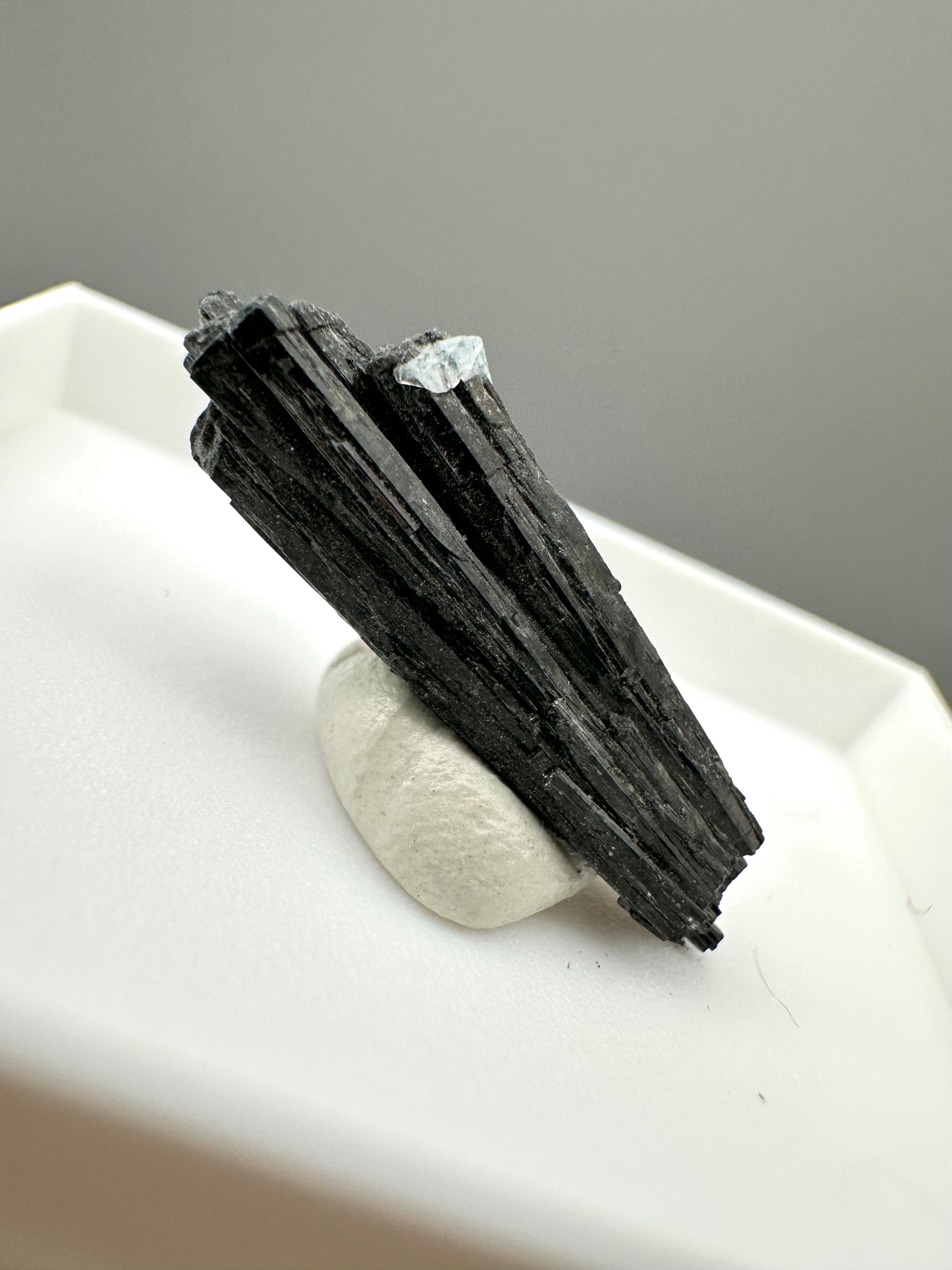 Schorl – Erongo, Namibia - MVK428