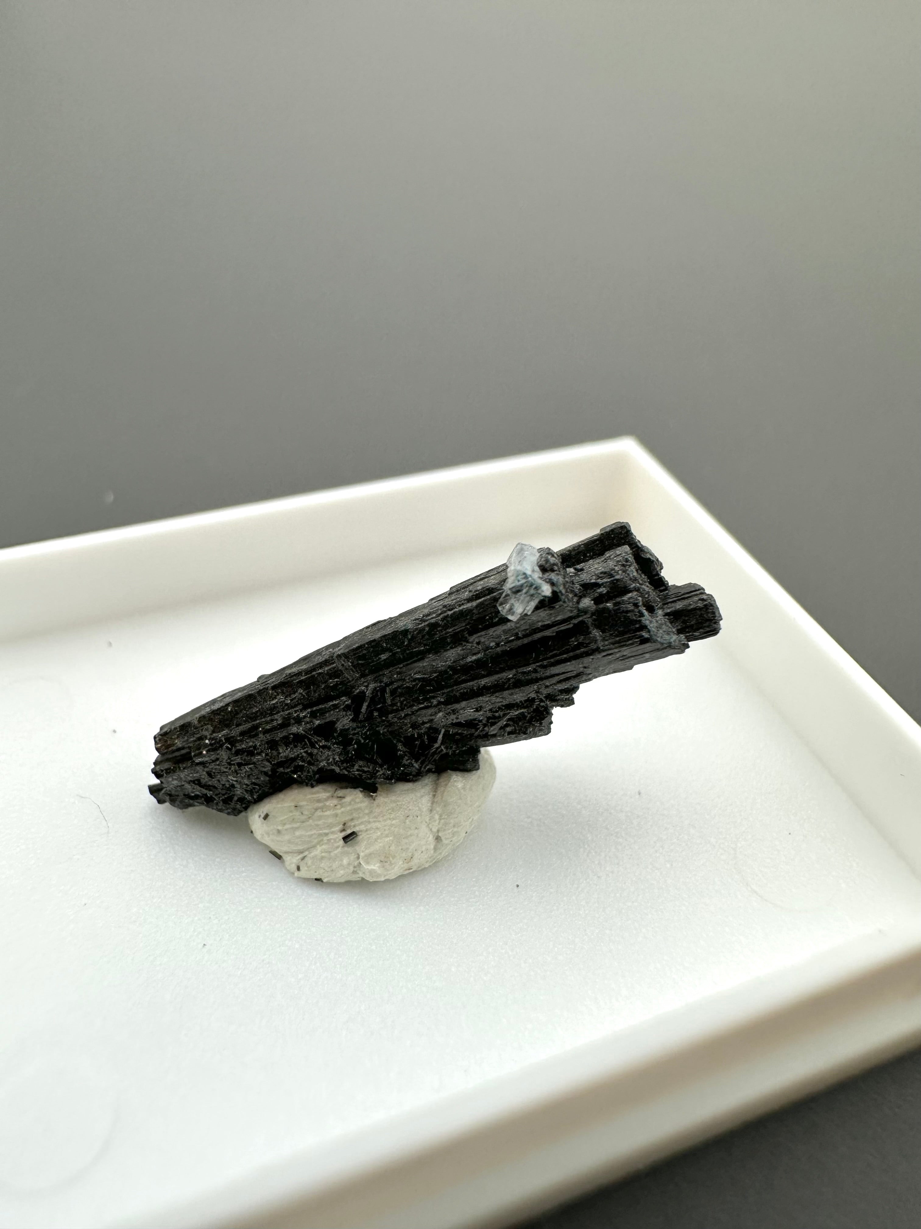Schorl – Erongo, Namibia - MVK428