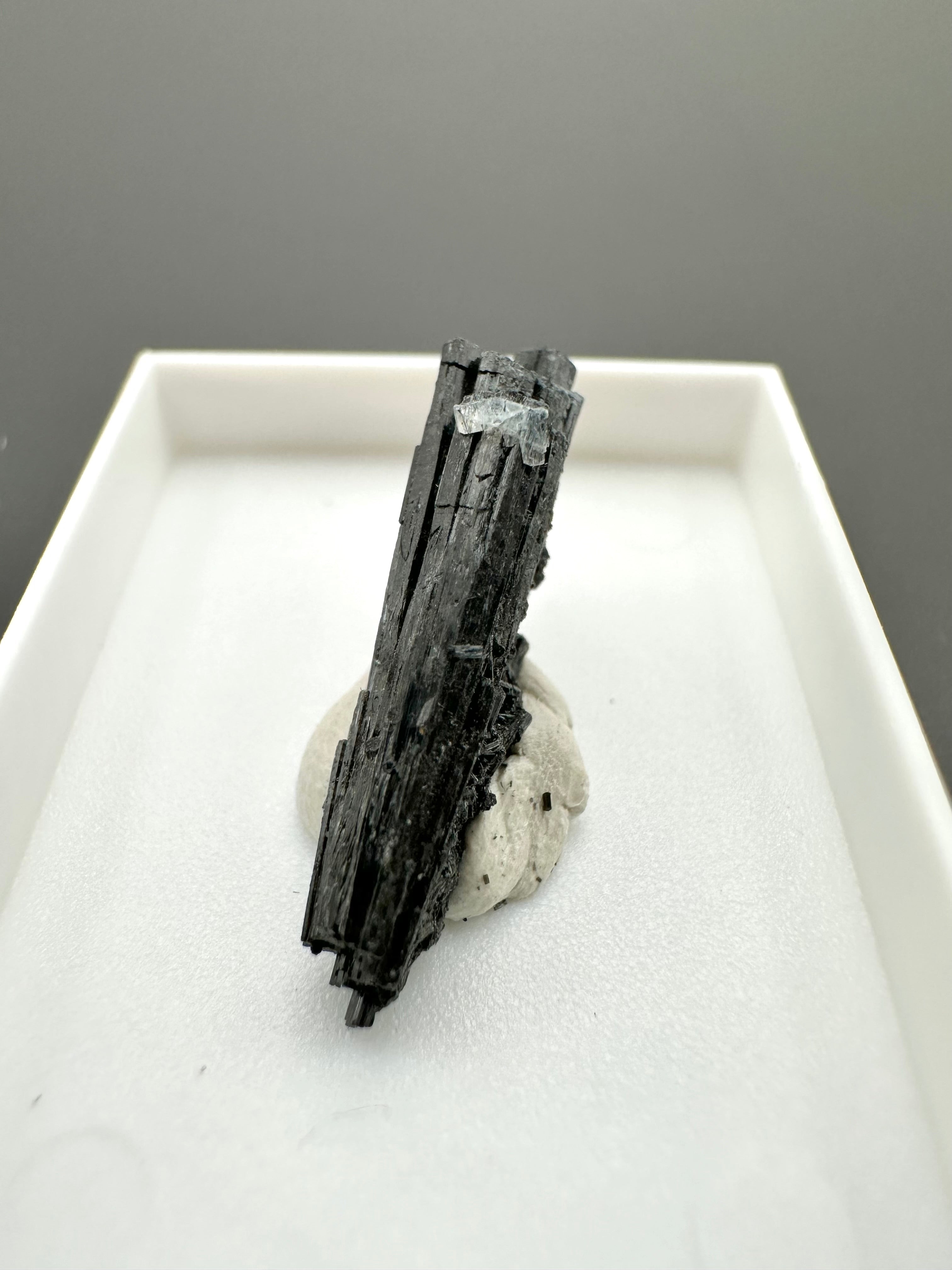 Schorl – Erongo, Namibia - MVK428