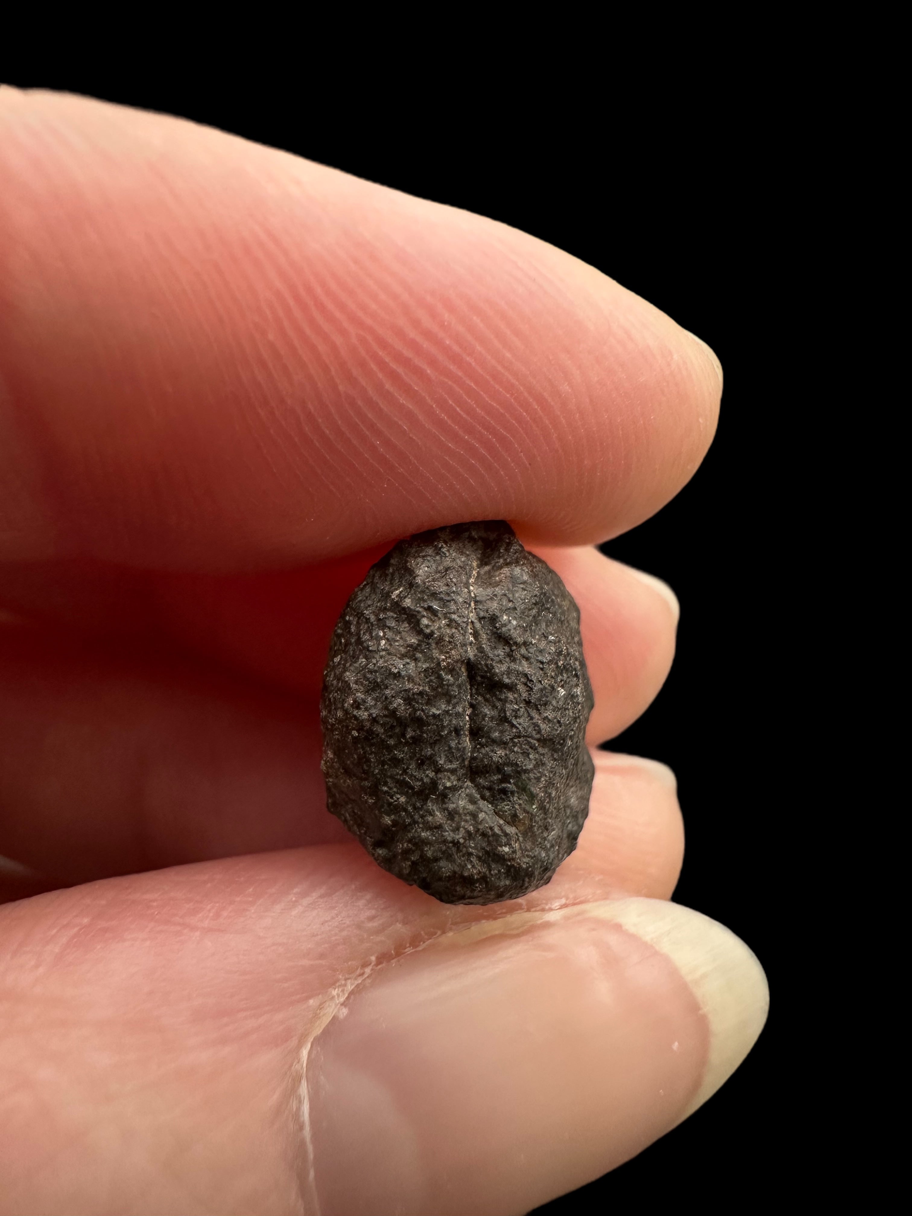 Meteorite Abadla 004 – 2,4g – Algeria - MEAB07