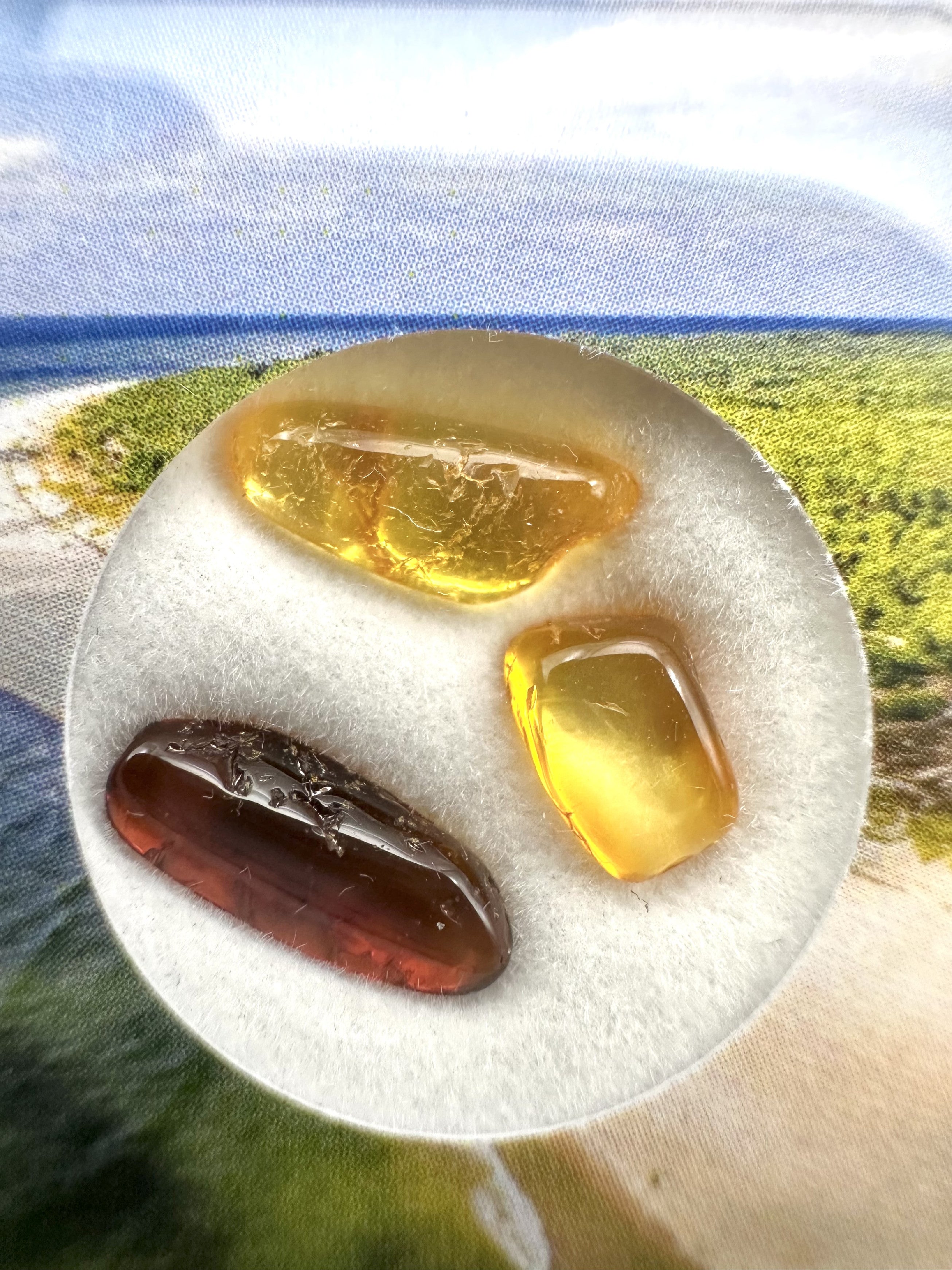 Amber in box – Lithuania - JN174