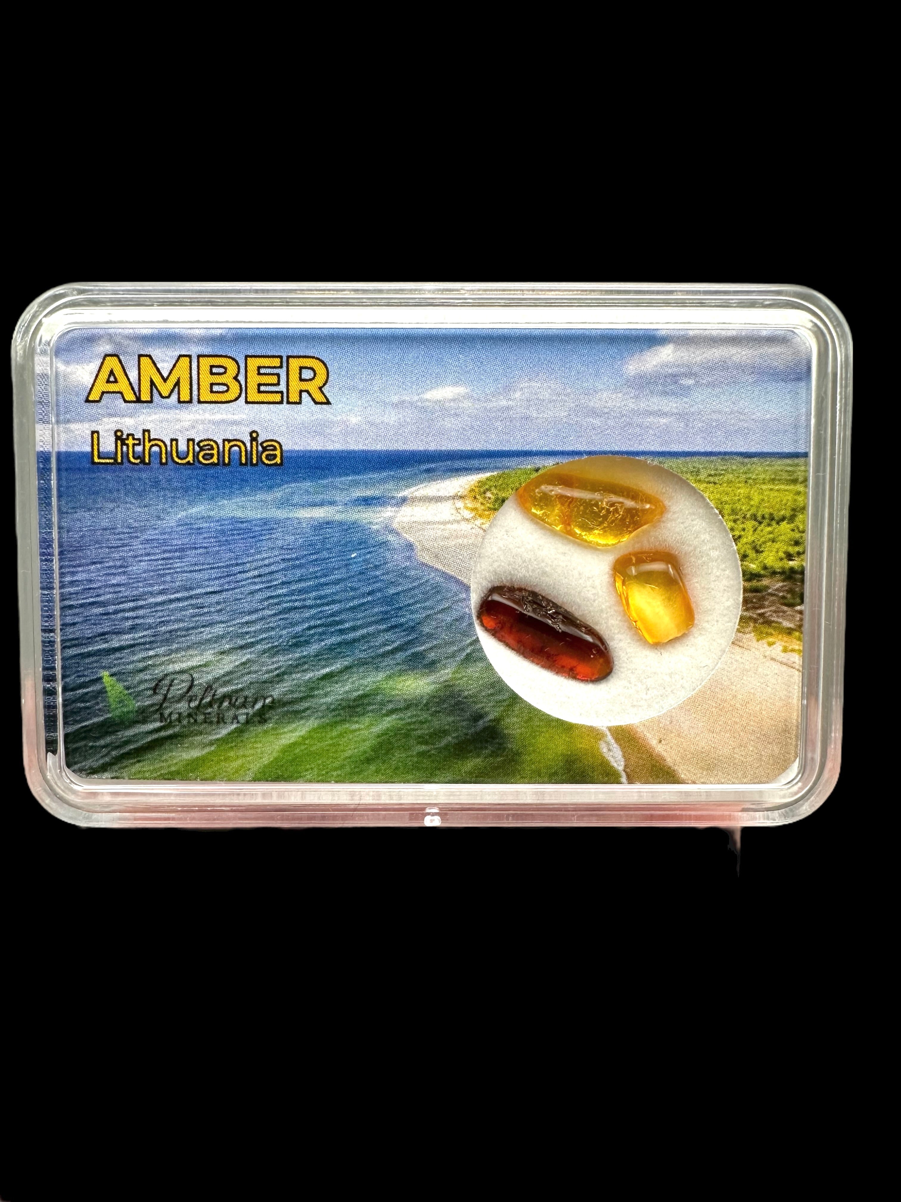 Amber in box – Lithuania