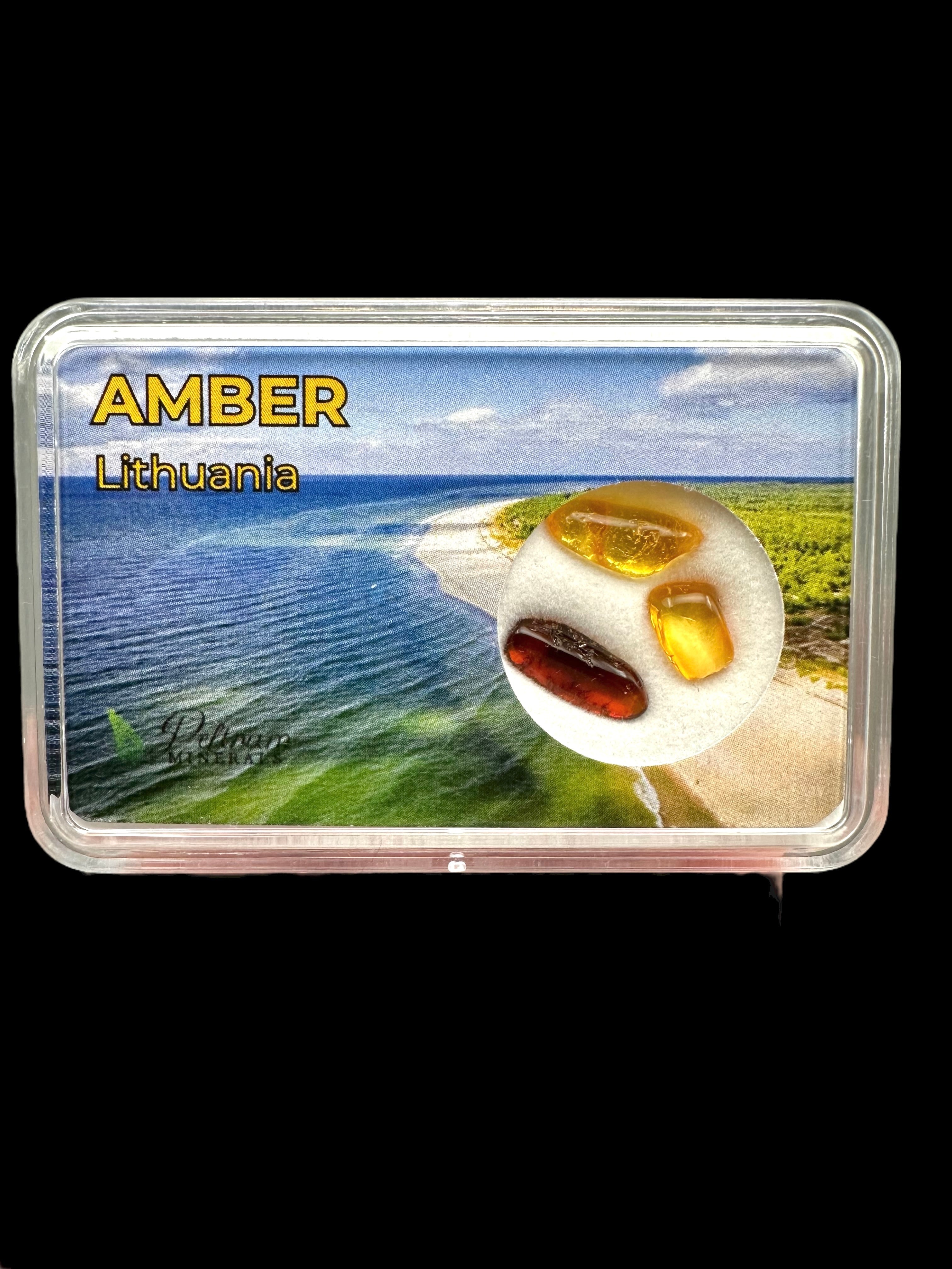 Amber in box – Lithuania