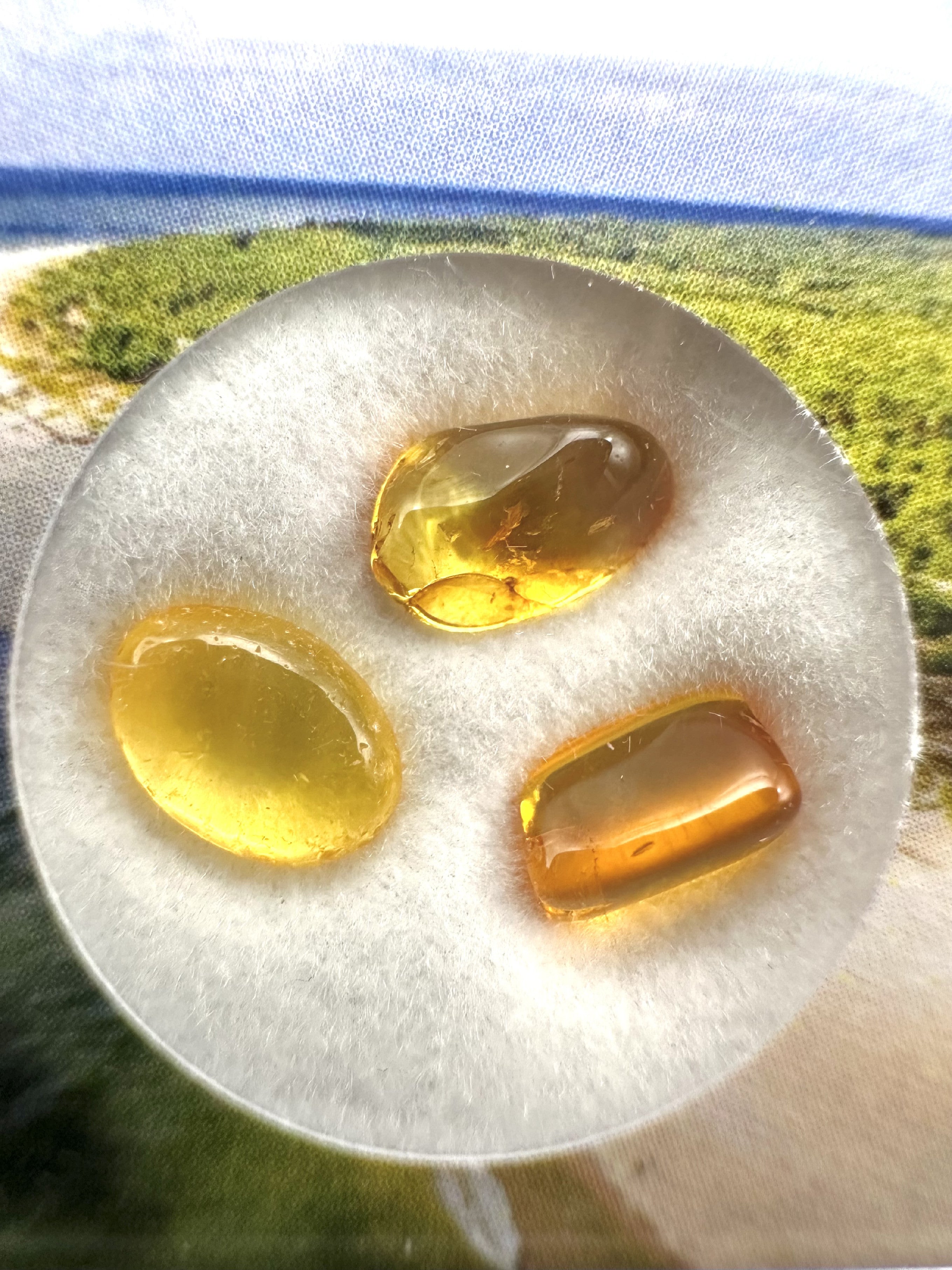 Amber in box – Lithuania - JN175