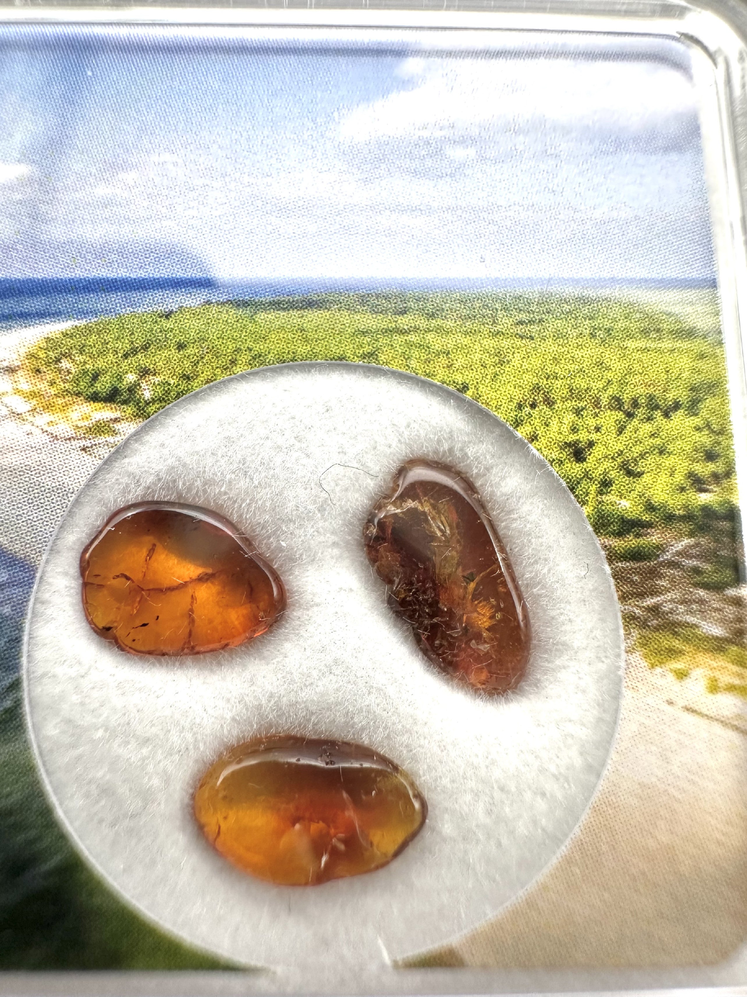 Amber in box – Lithuania - JN176