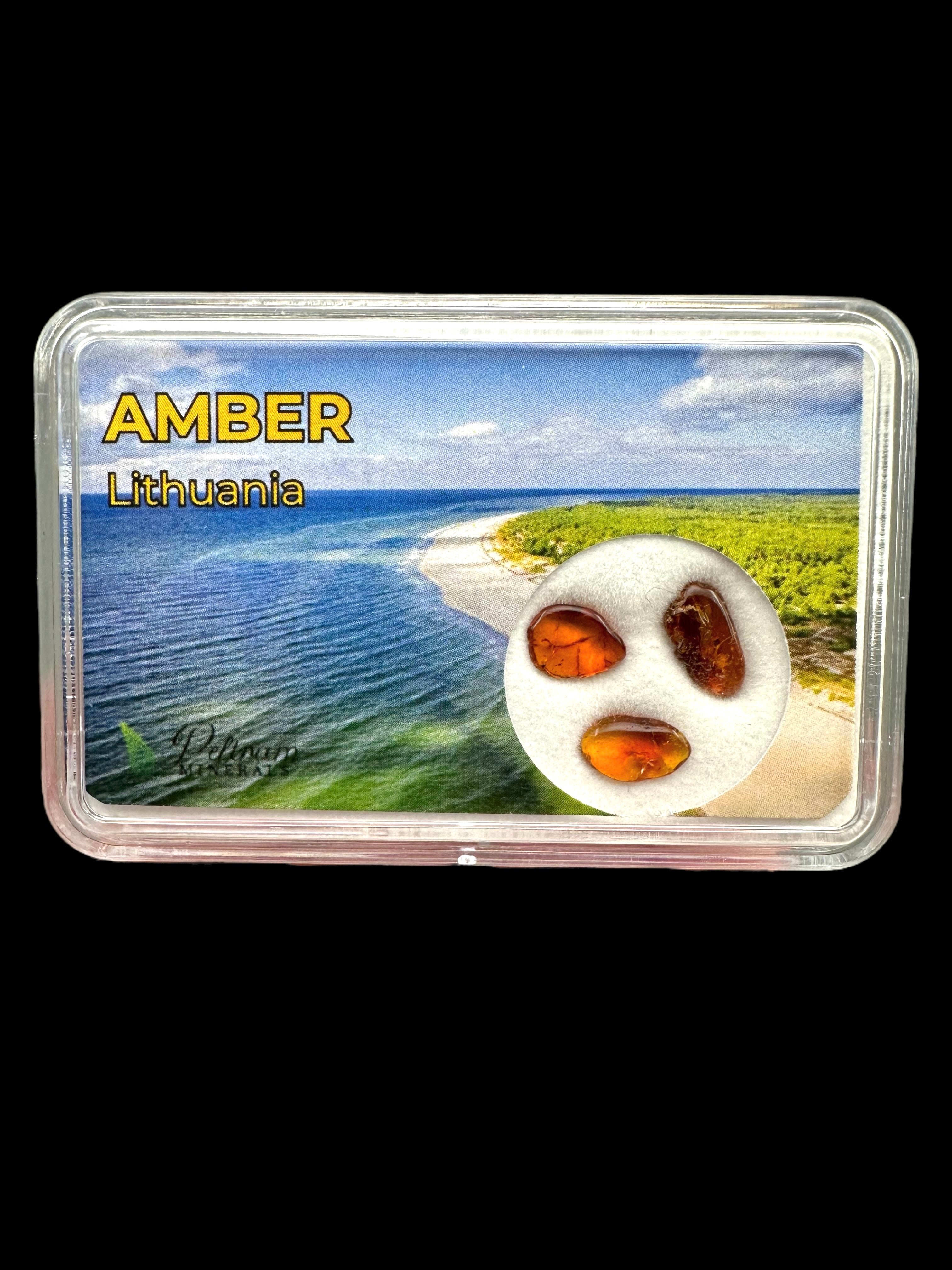 Amber in box – Lithuania