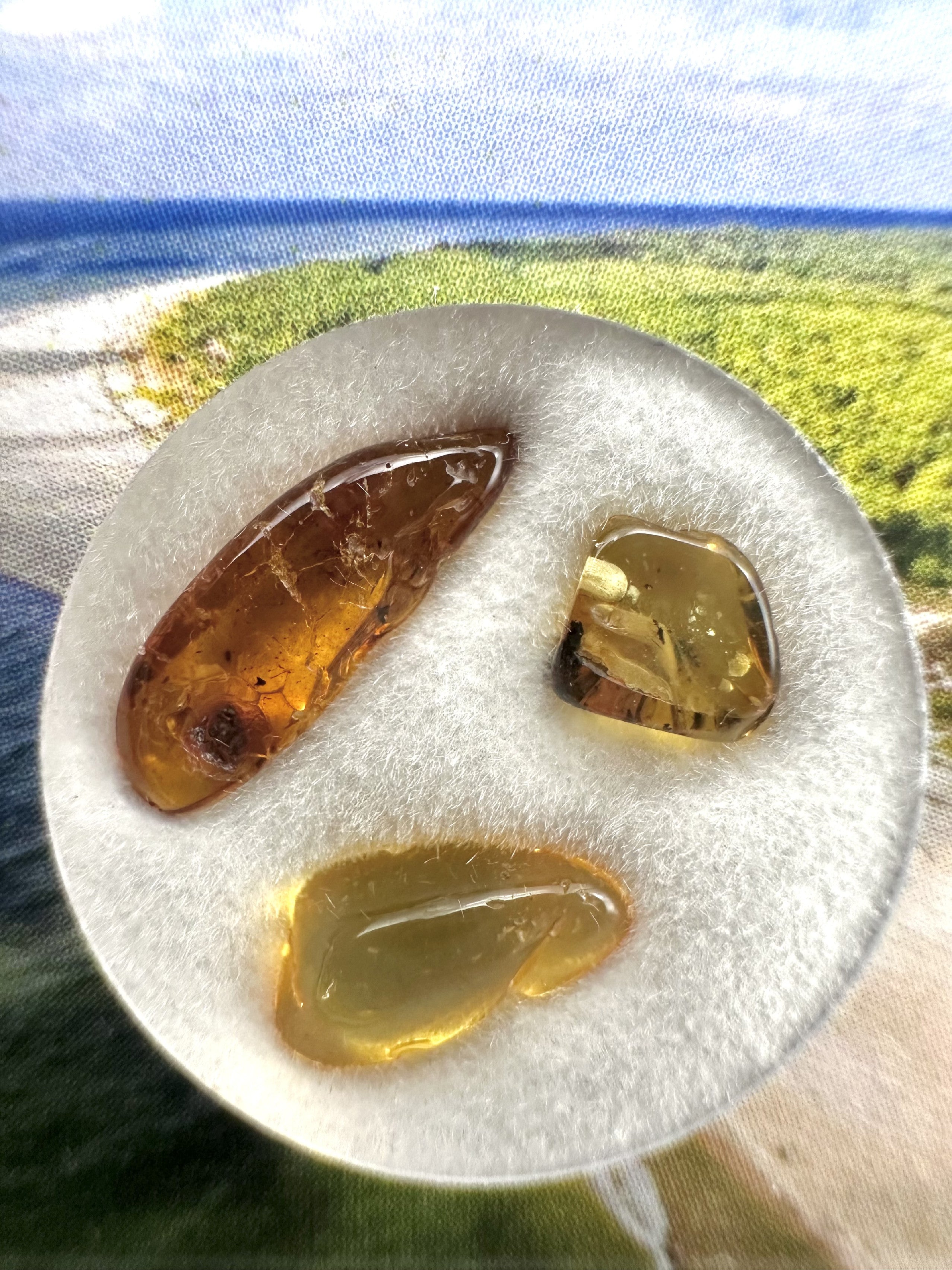 Amber in box – Lithuania - JN177