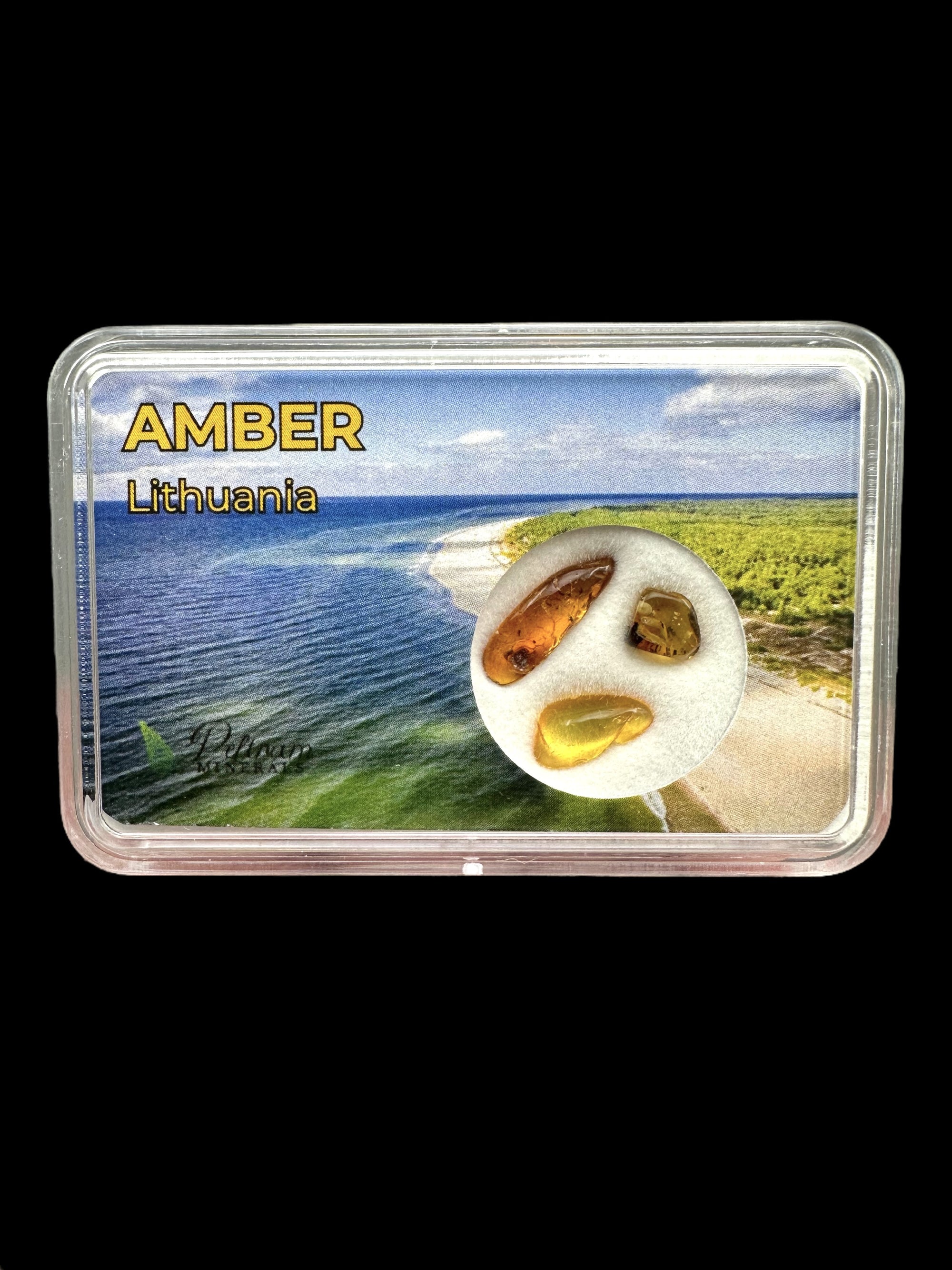 Amber in box – Lithuania