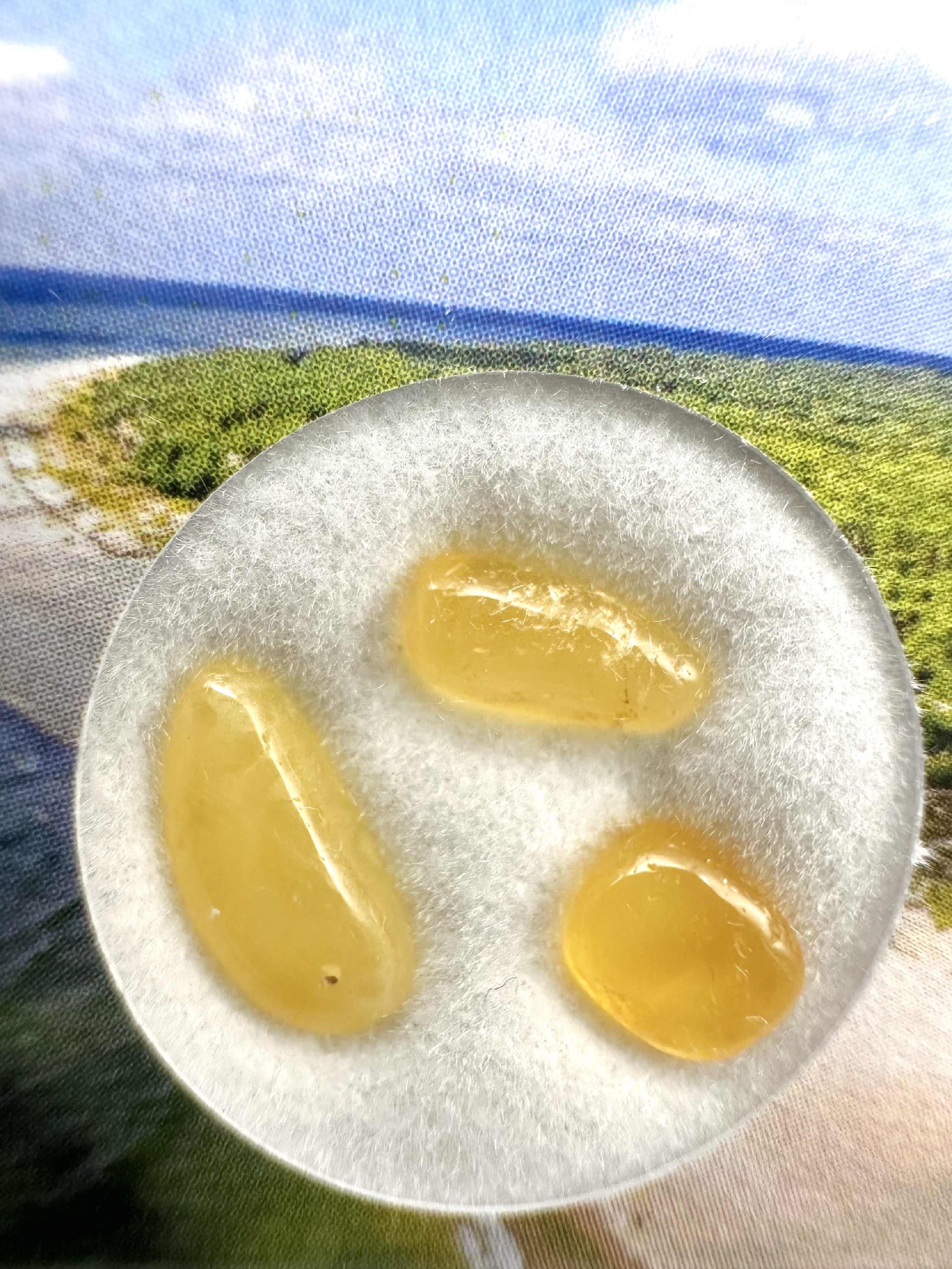 Amber in box – Lithuania - JN178