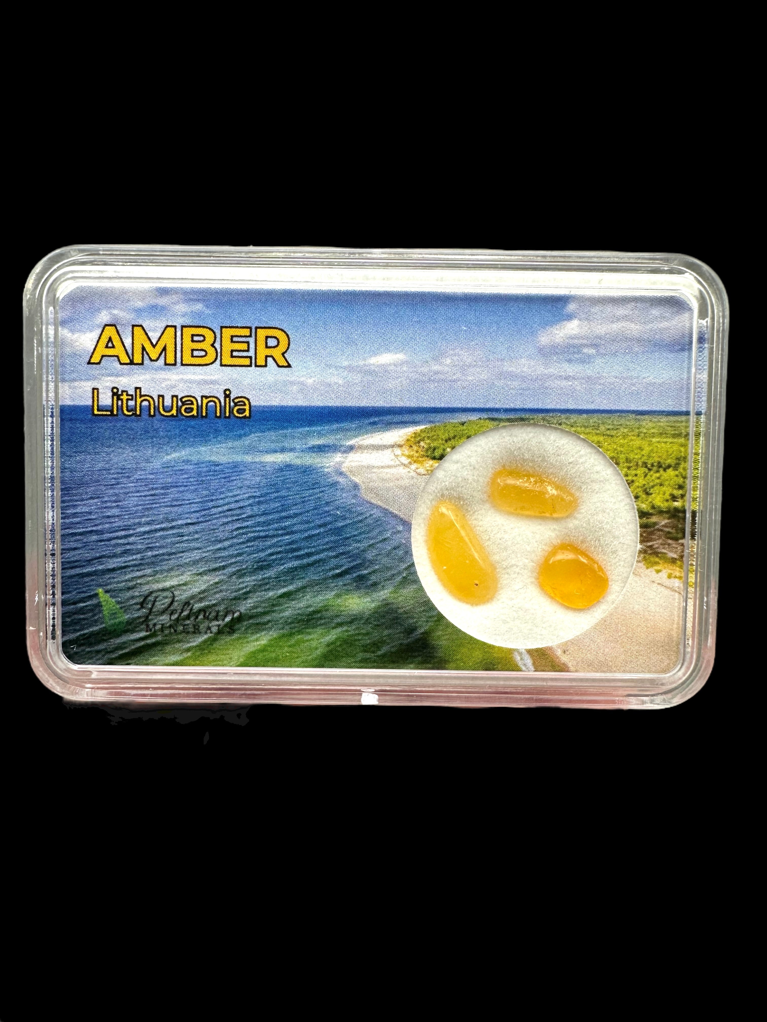 Amber in box – Lithuania
