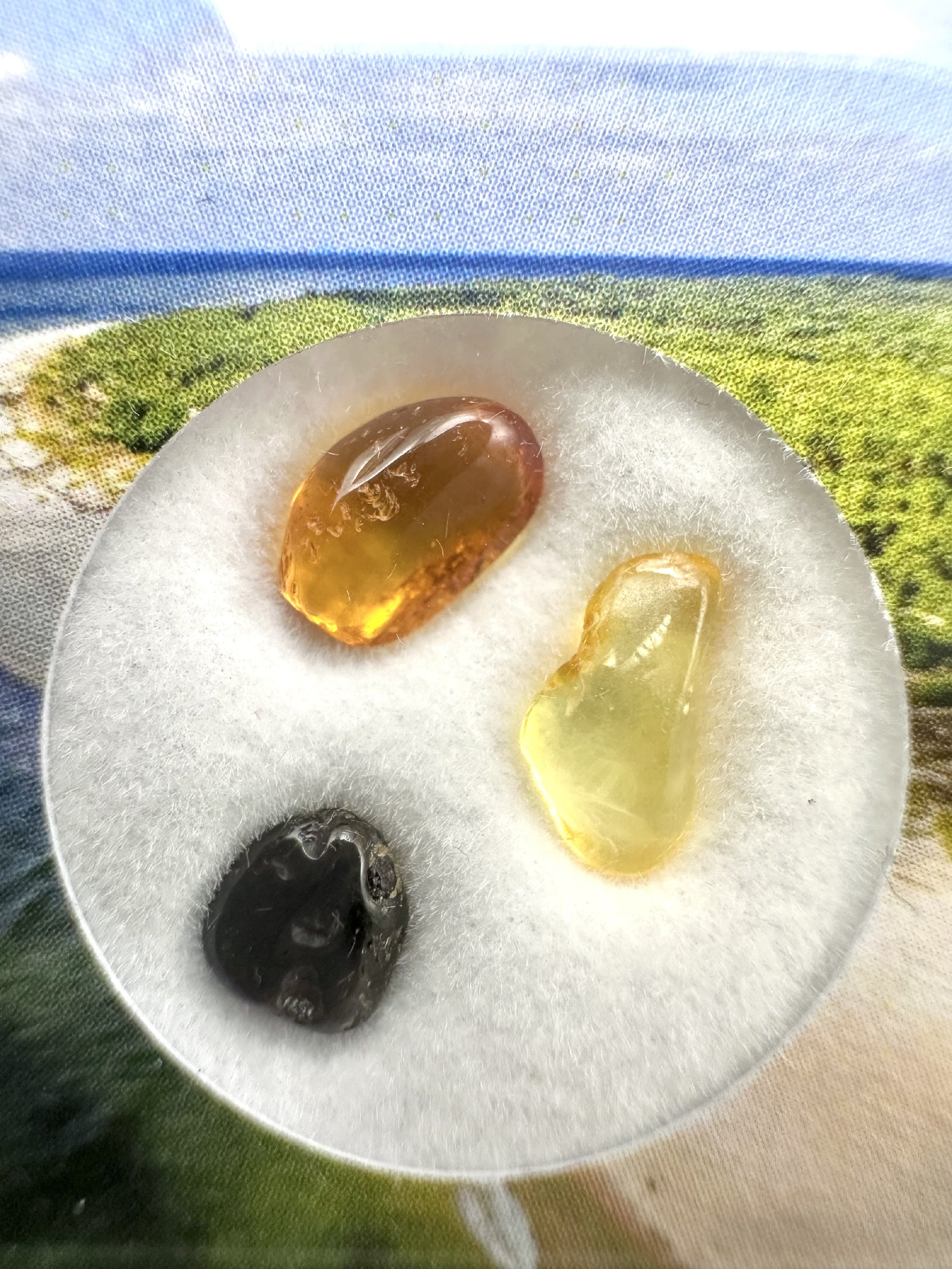 Amber in box – Lithuania - JN179