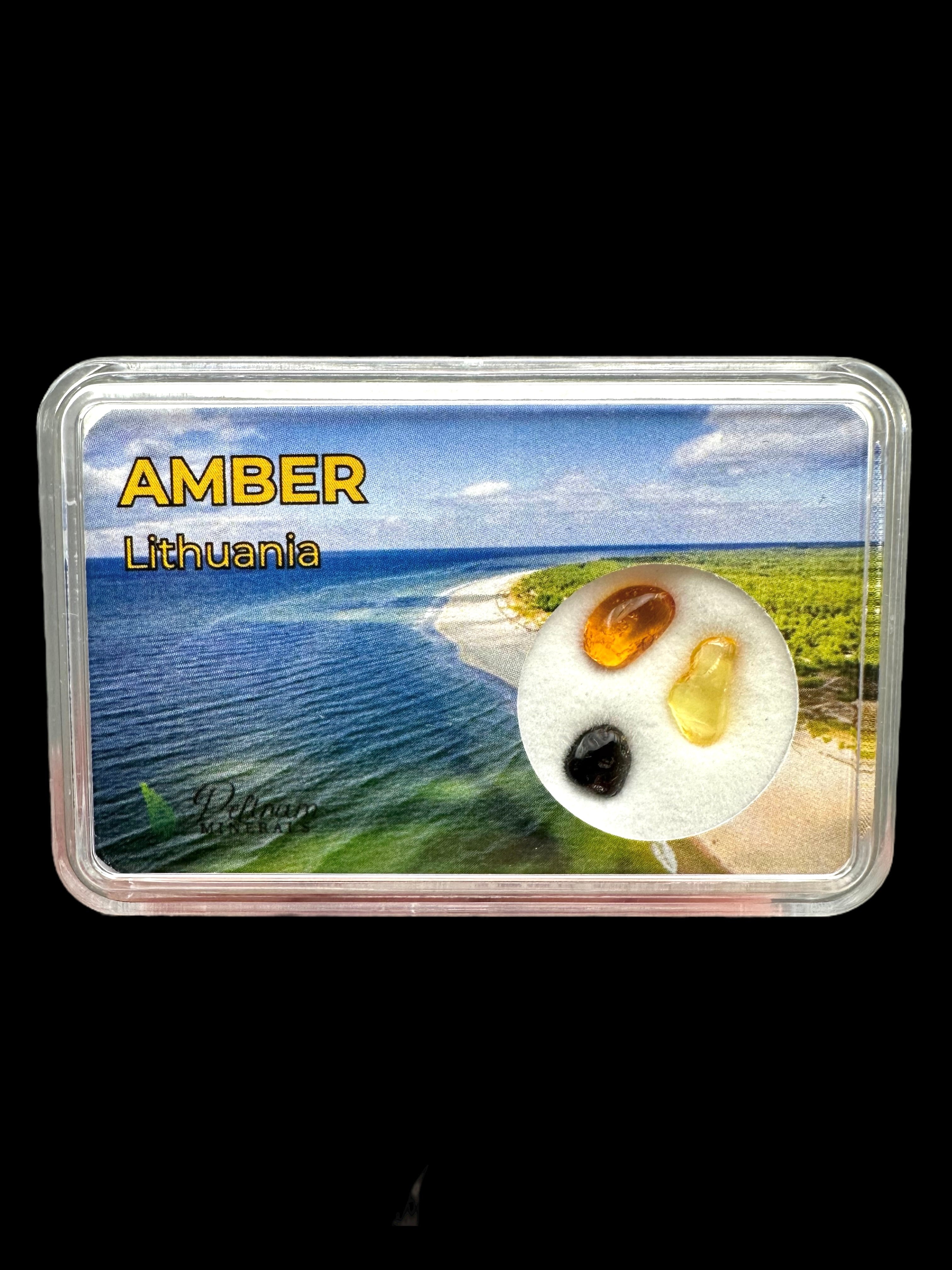 Amber in box – Lithuania
