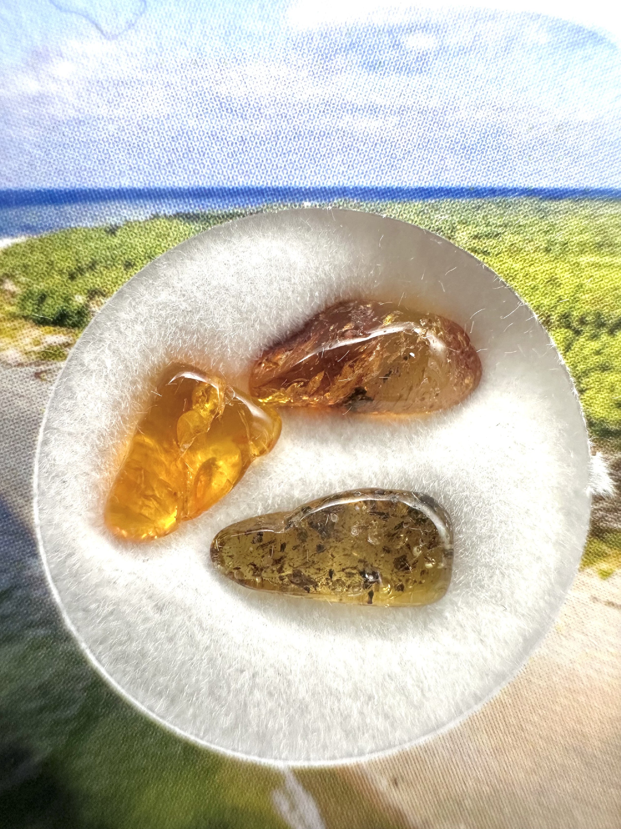 Amber in box – Lithuania - JN180