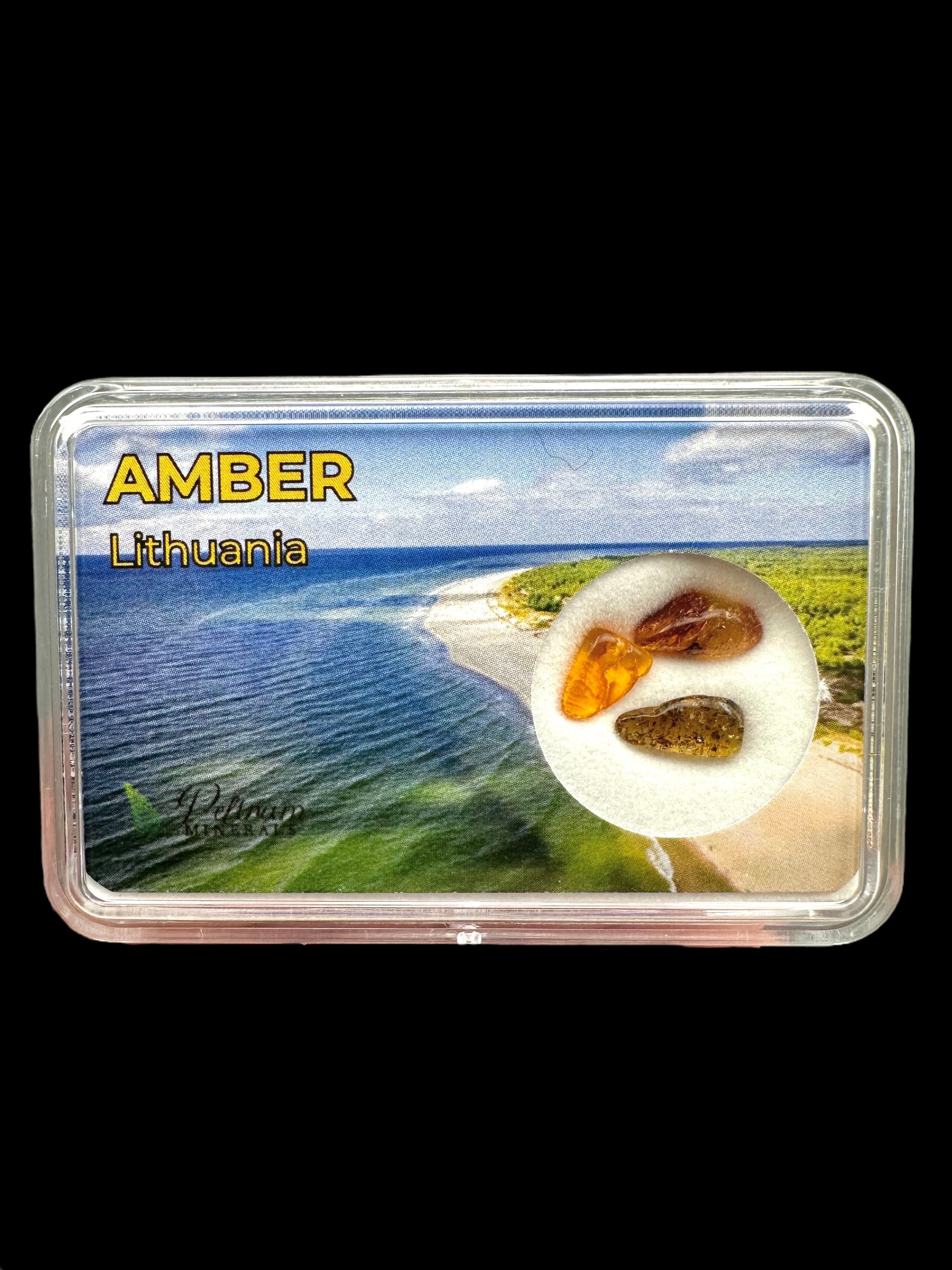 Amber in box – Lithuania