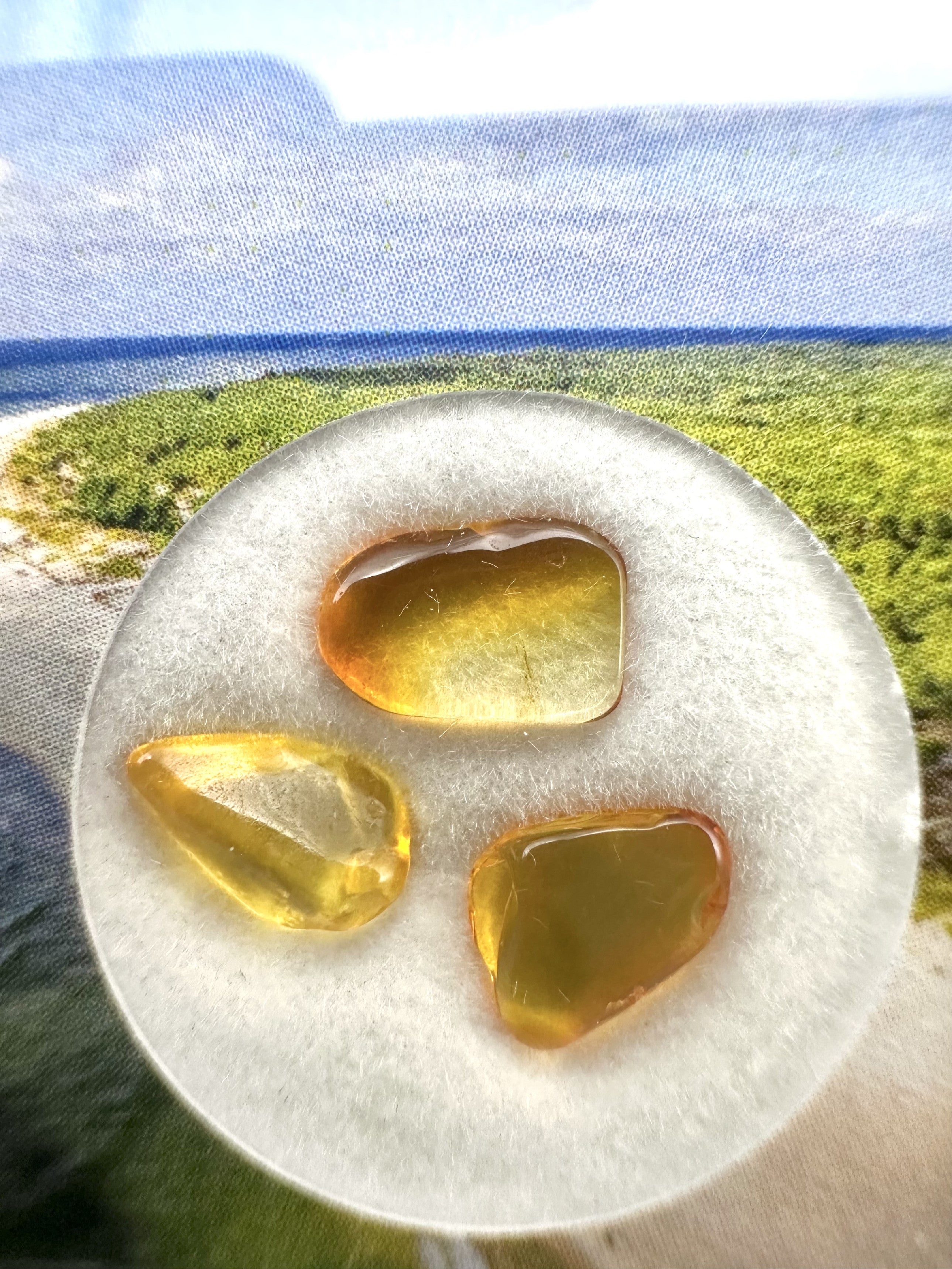 Amber in box – Lithuania - JN181