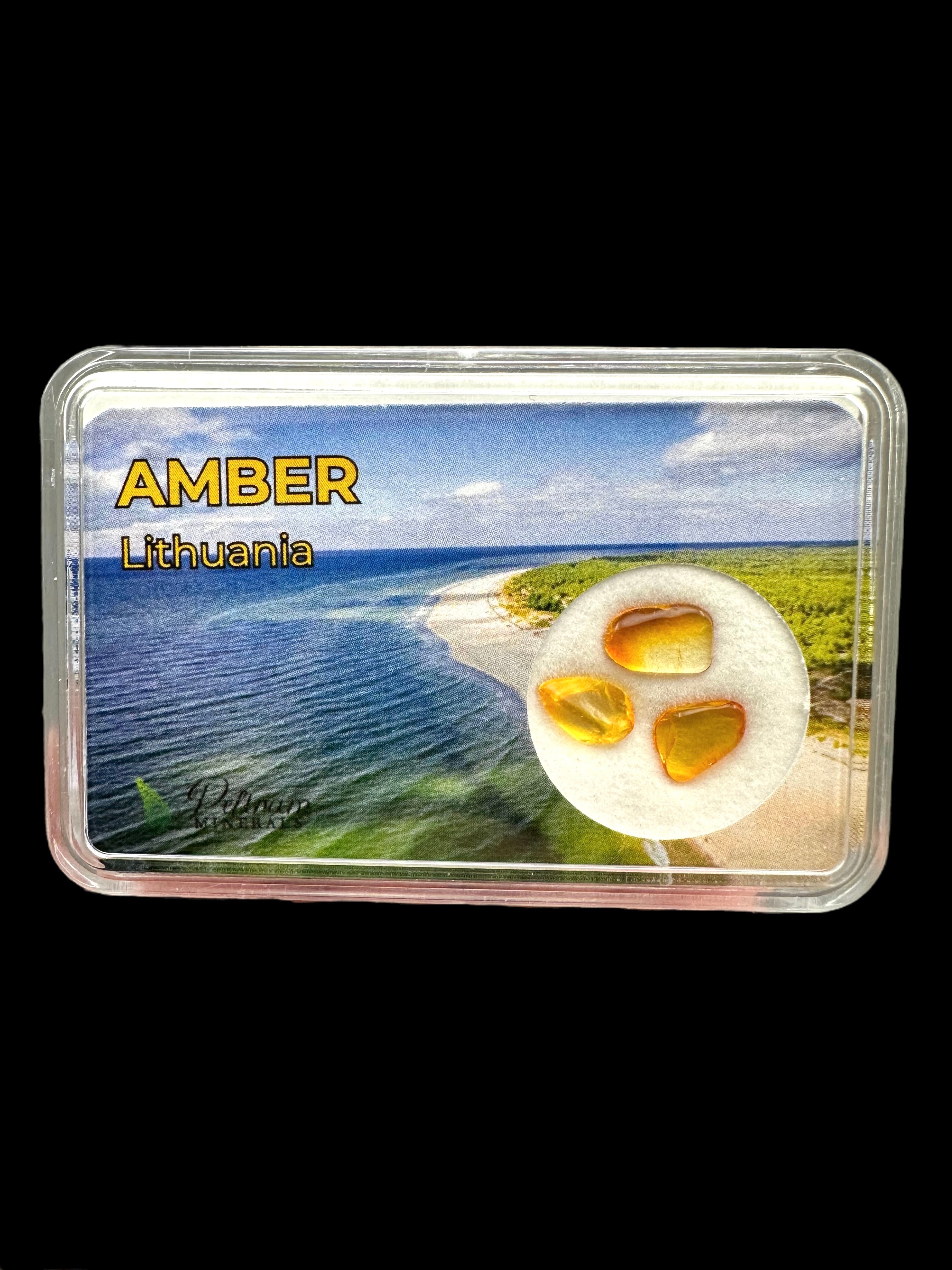 Amber in box – Lithuania