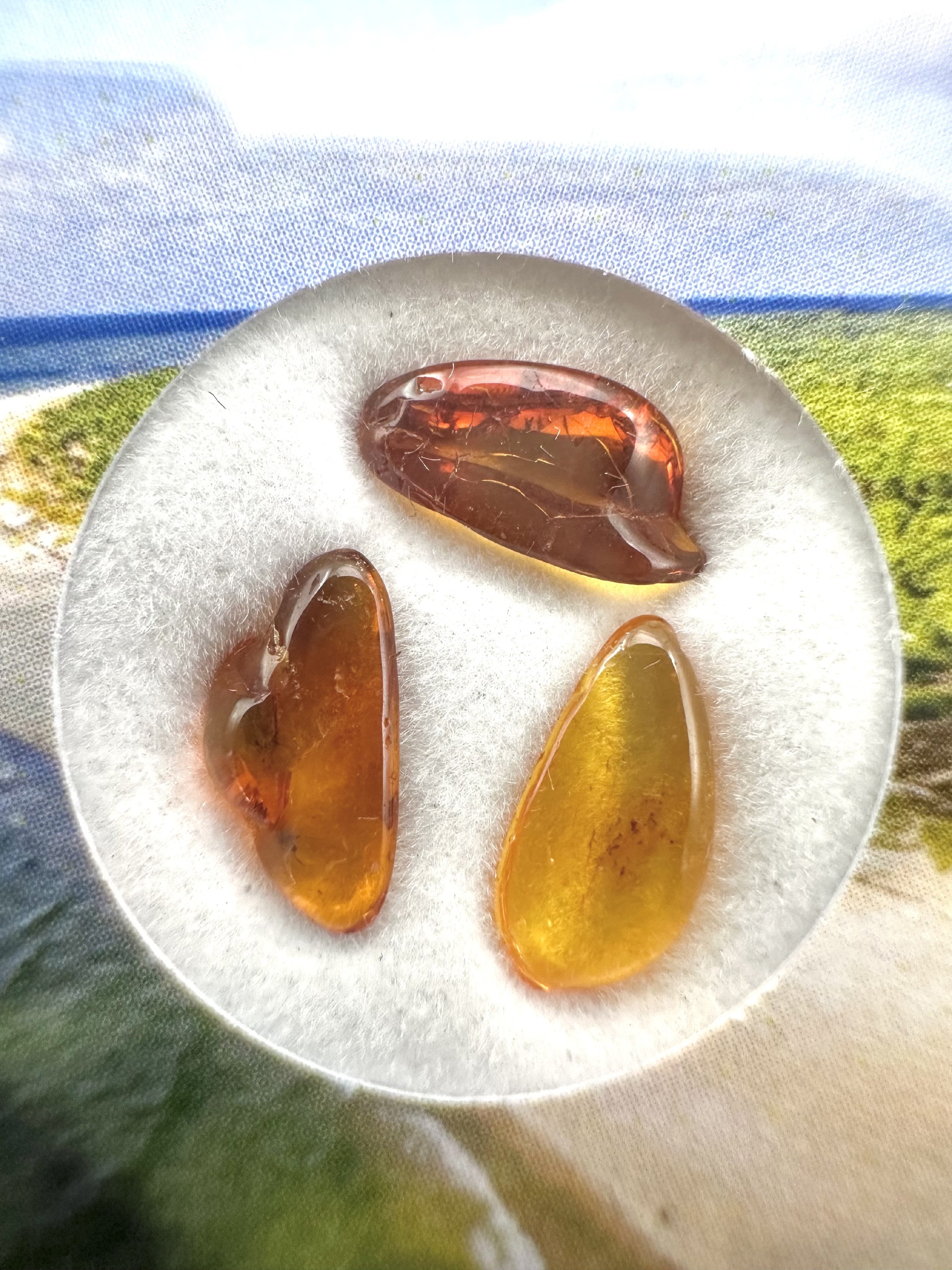 Amber in box – Lithuania - JN182