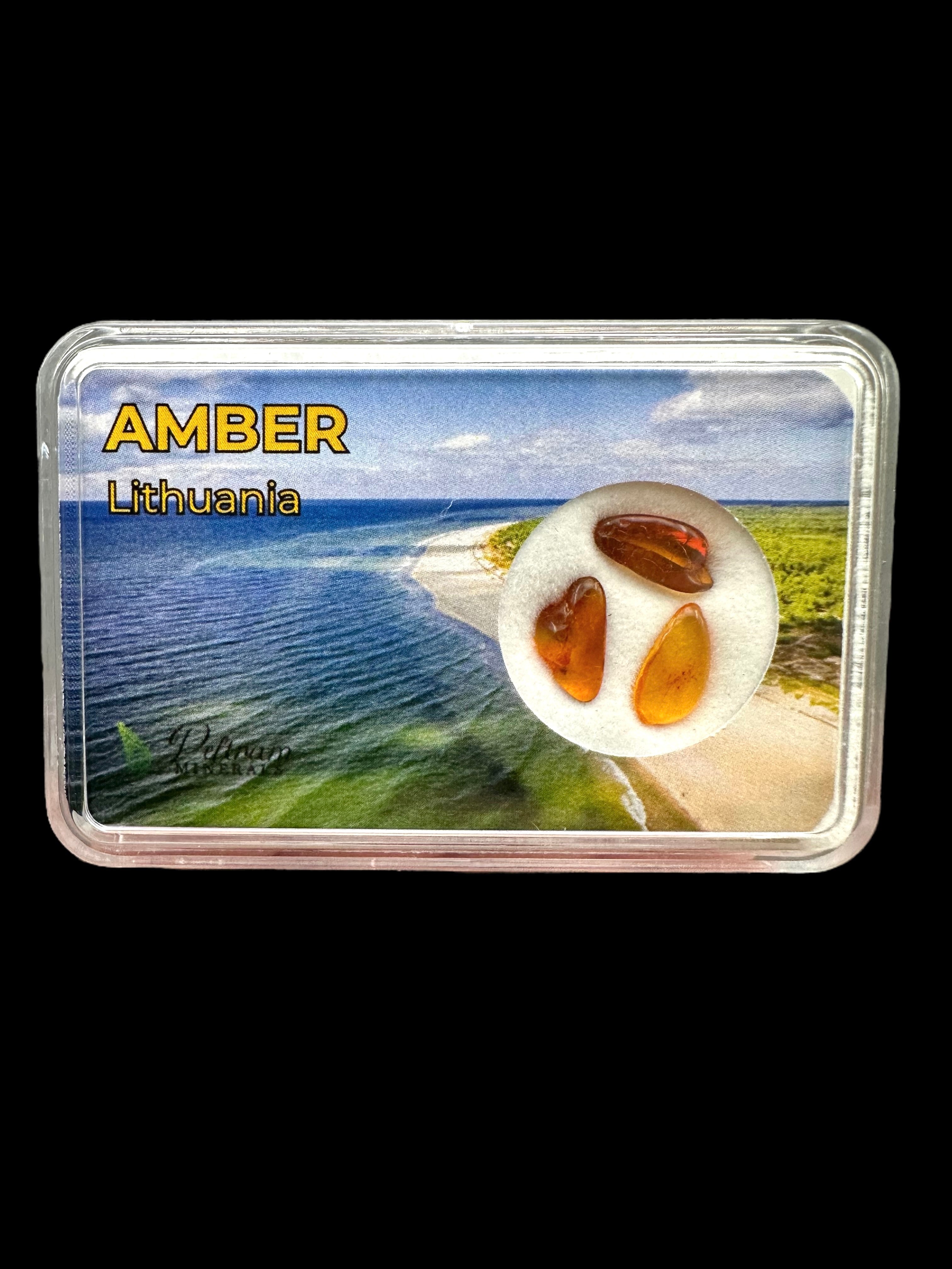 Amber in box – Lithuania