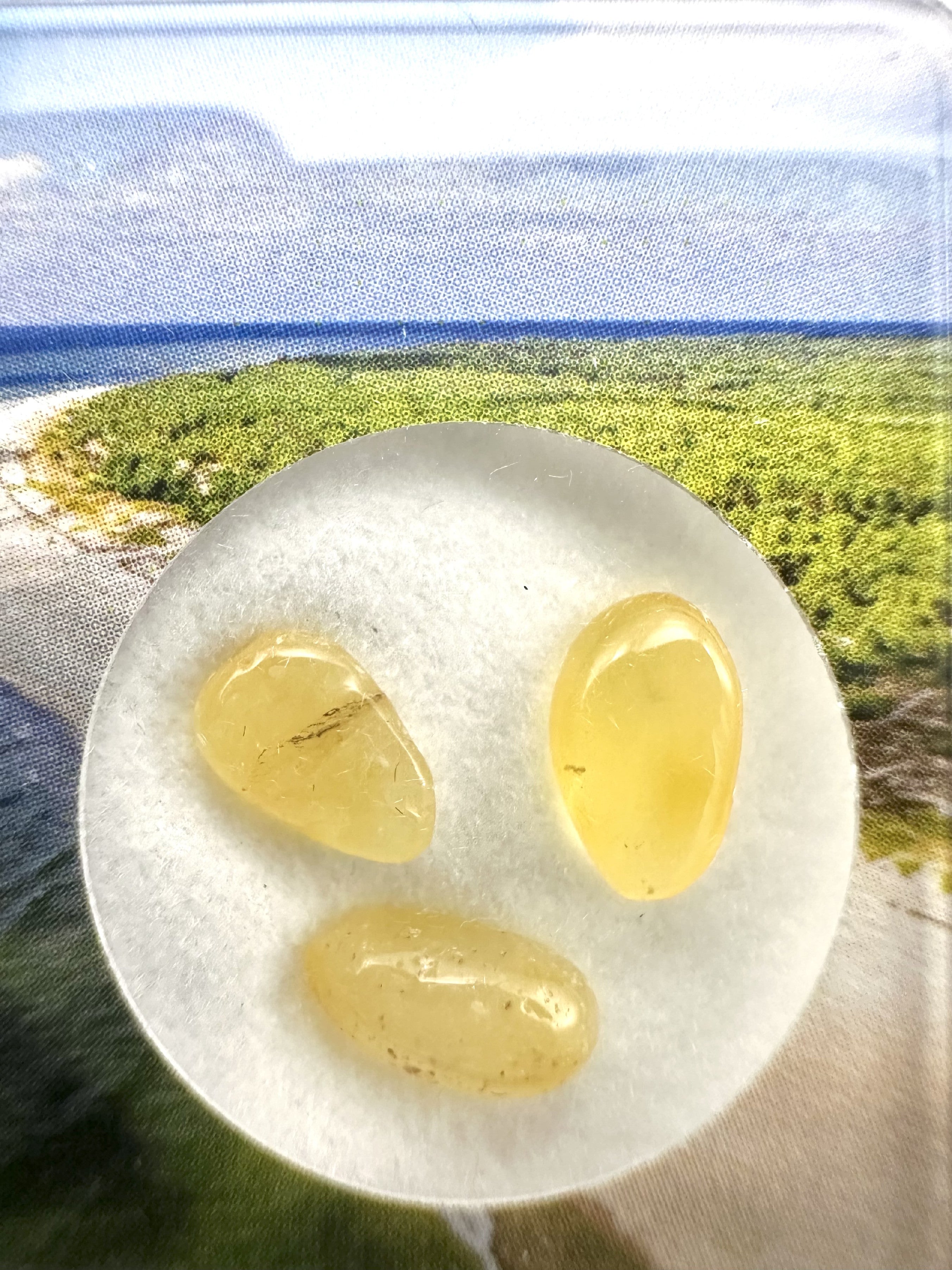 Amber in box – Lithuania - JN183
