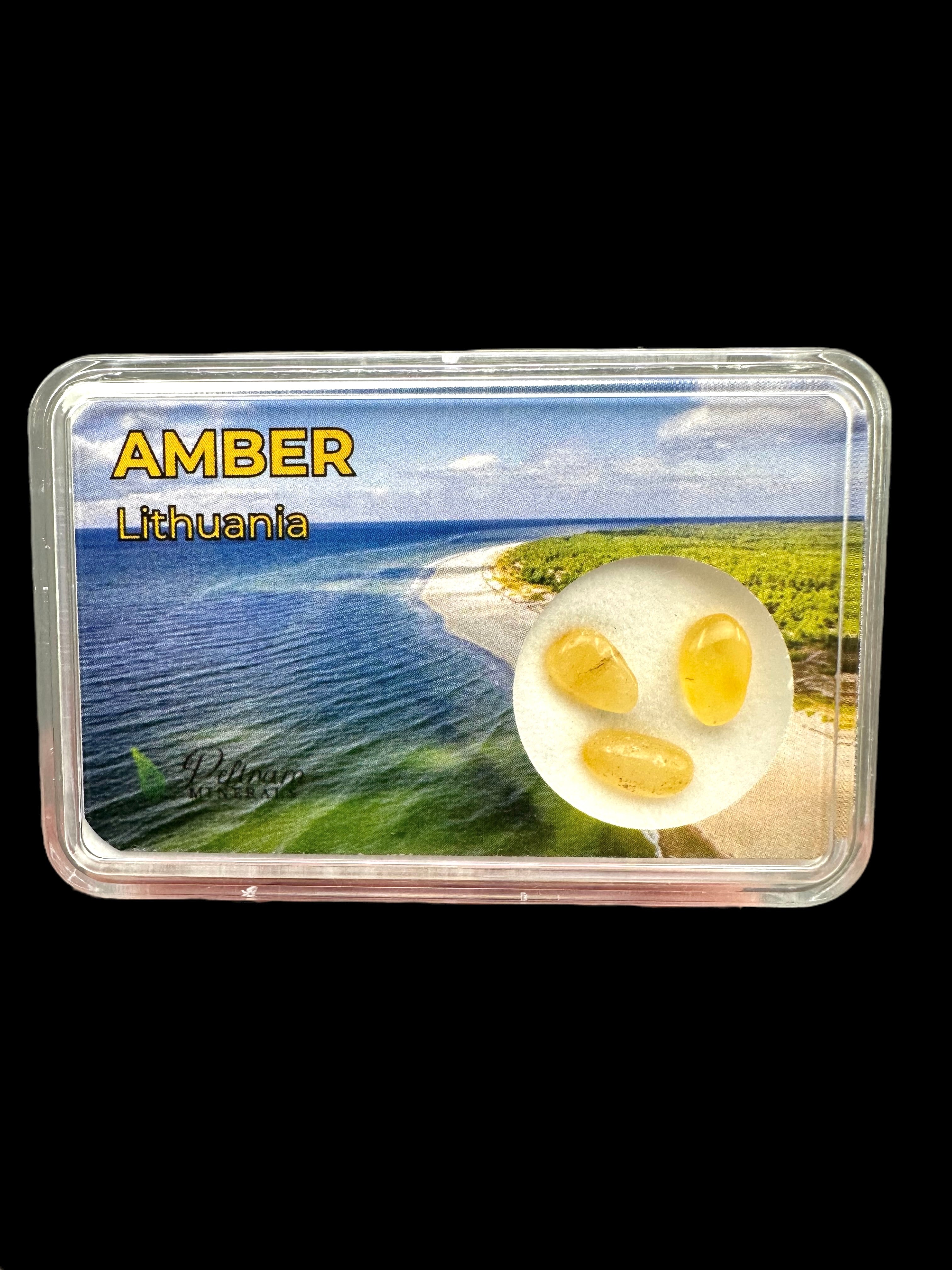Amber in box – Lithuania
