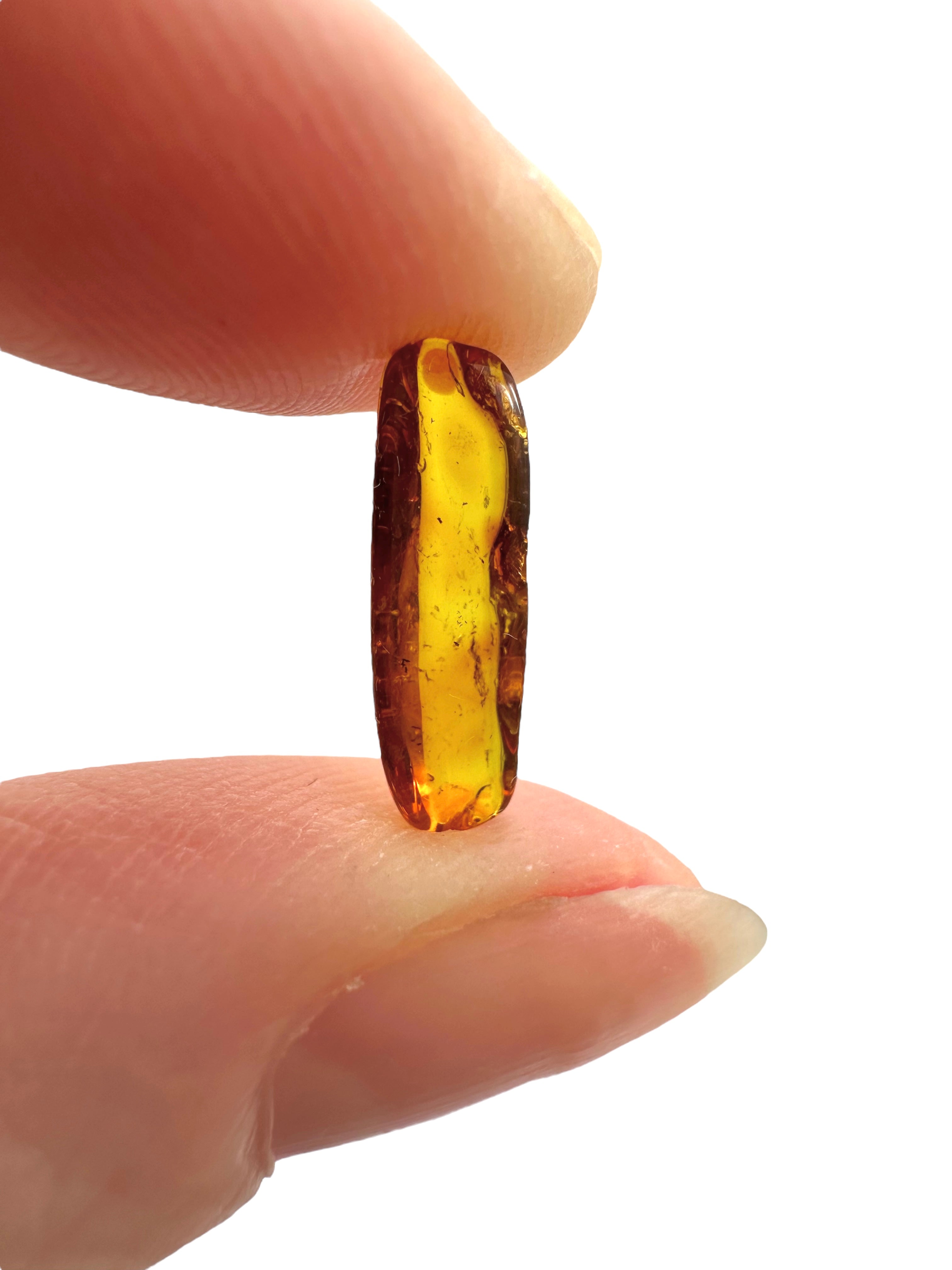 Amber in box – Lithuania - JN184