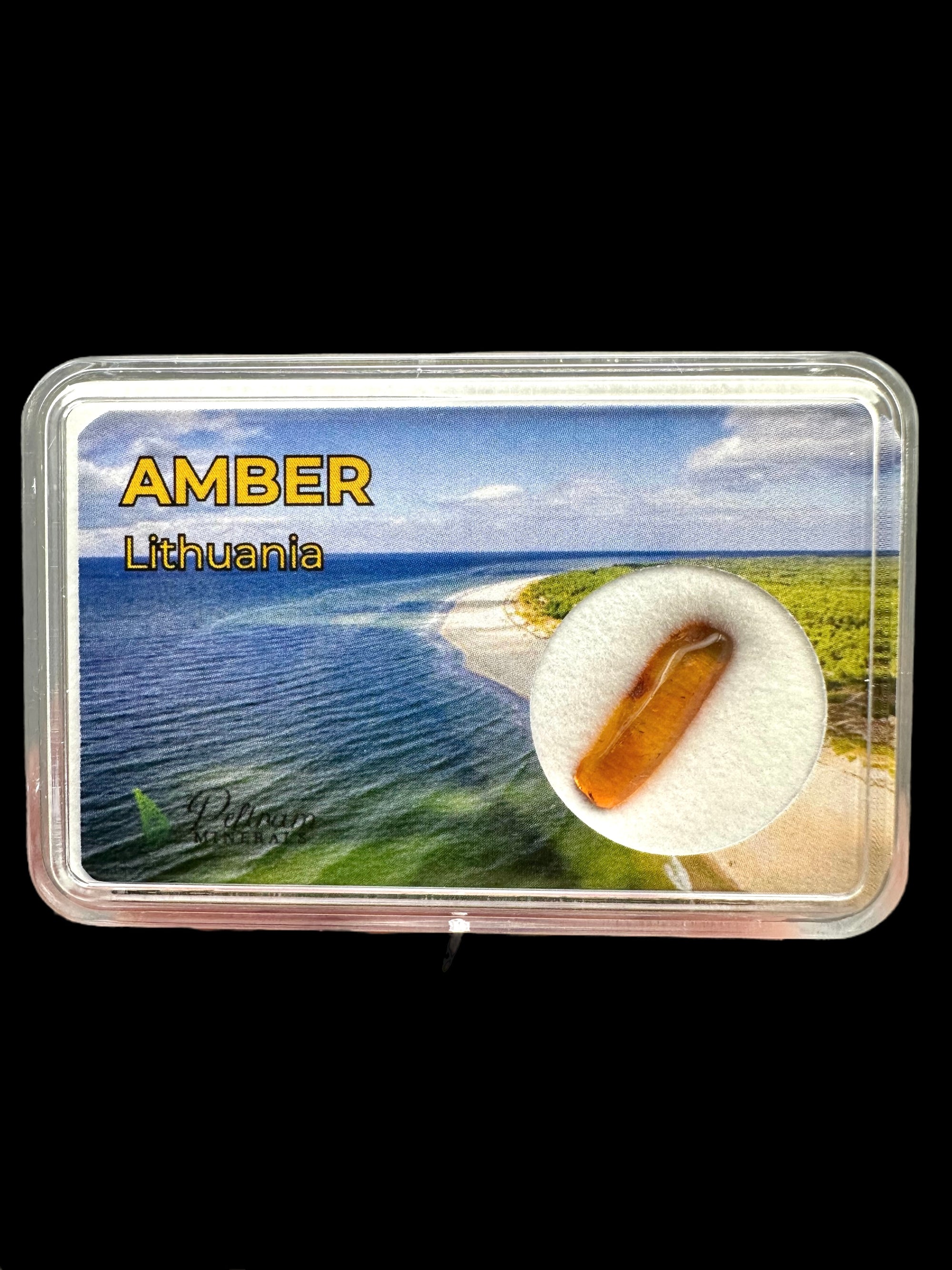 Amber in box – Lithuania