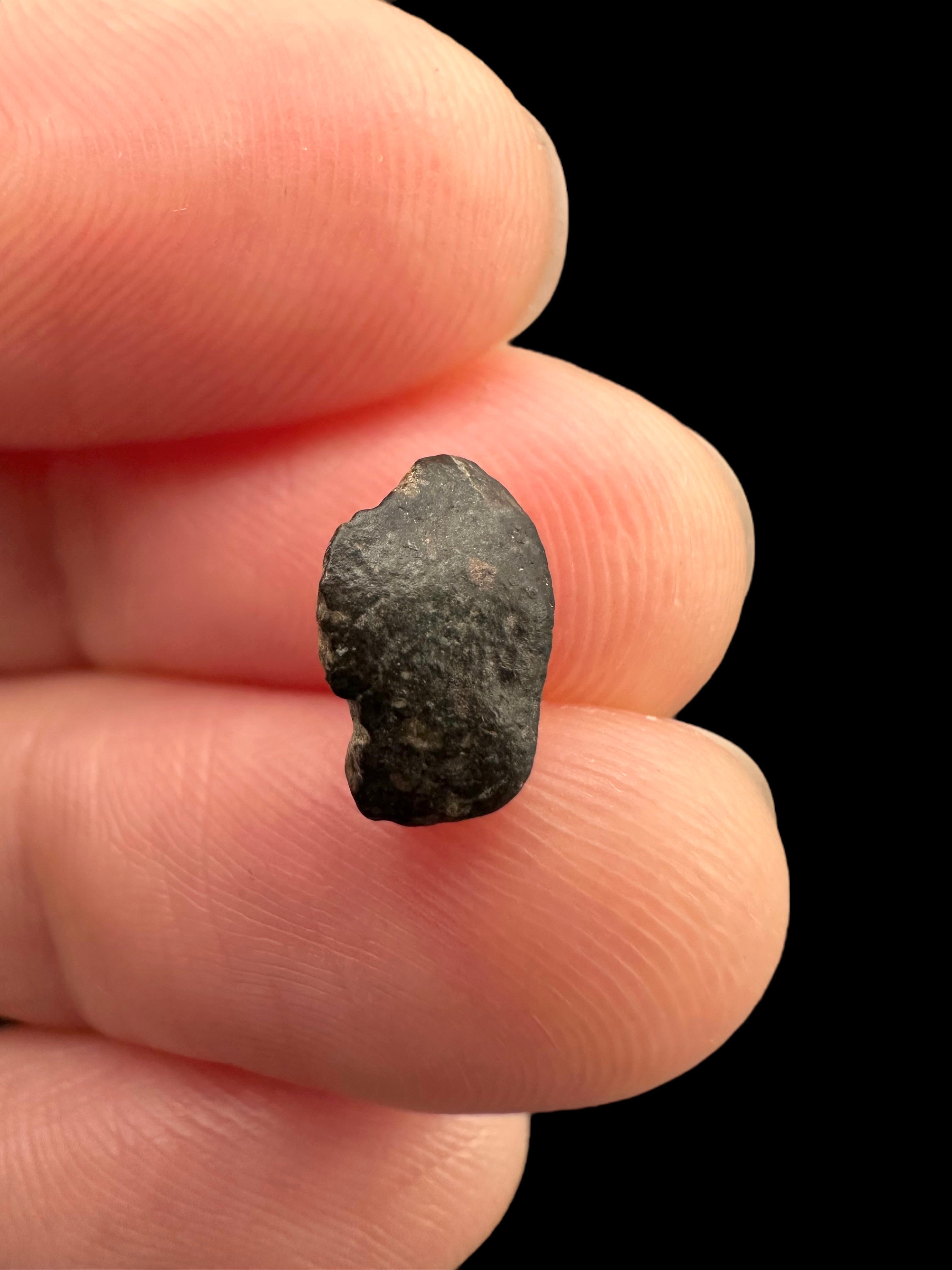Meteorite NWA 869 – 0,3g – Northwest Africa - MENW16