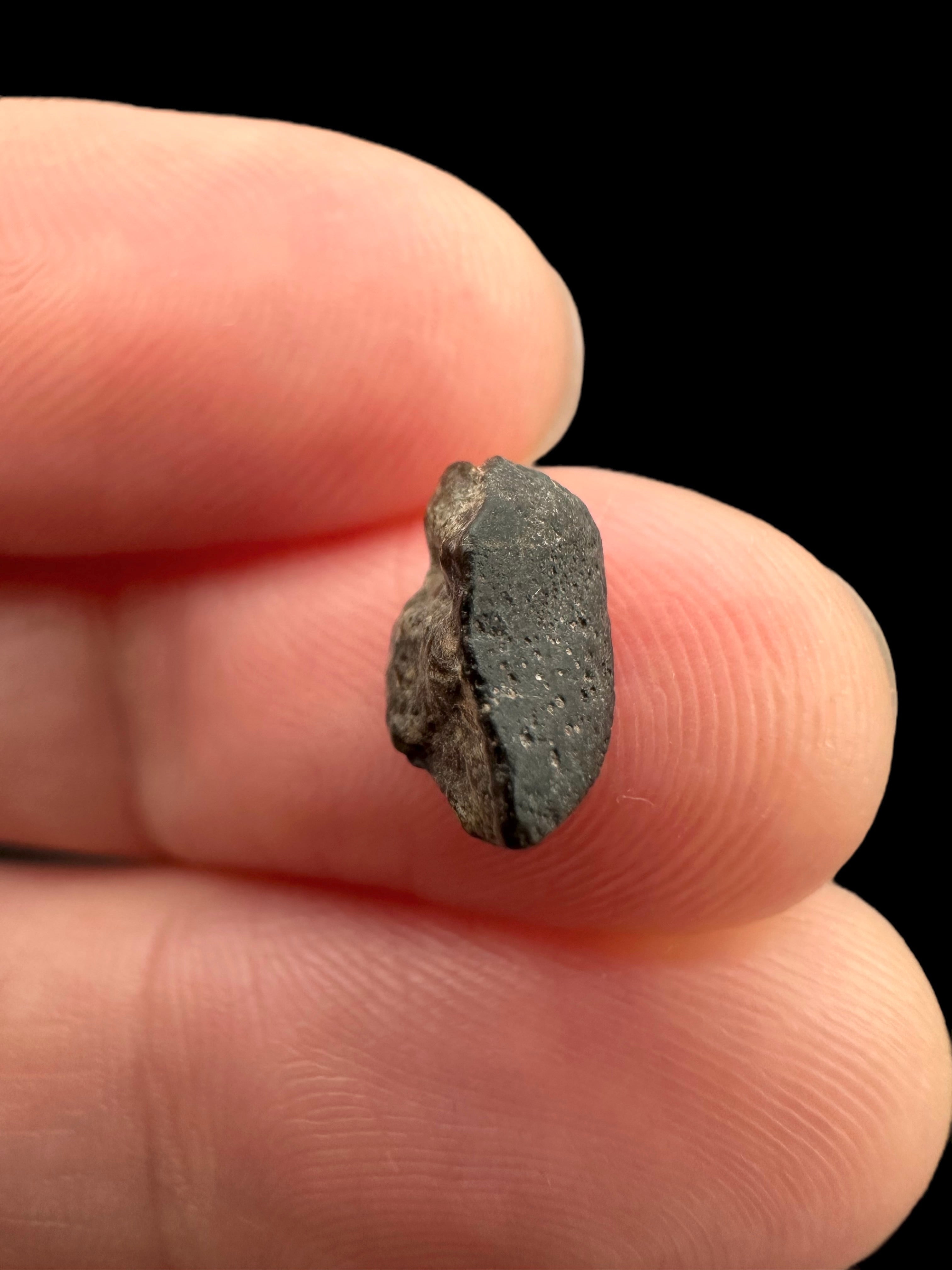 Meteorite NWA 869 – 0,3g – Northwest Africa - MENW16