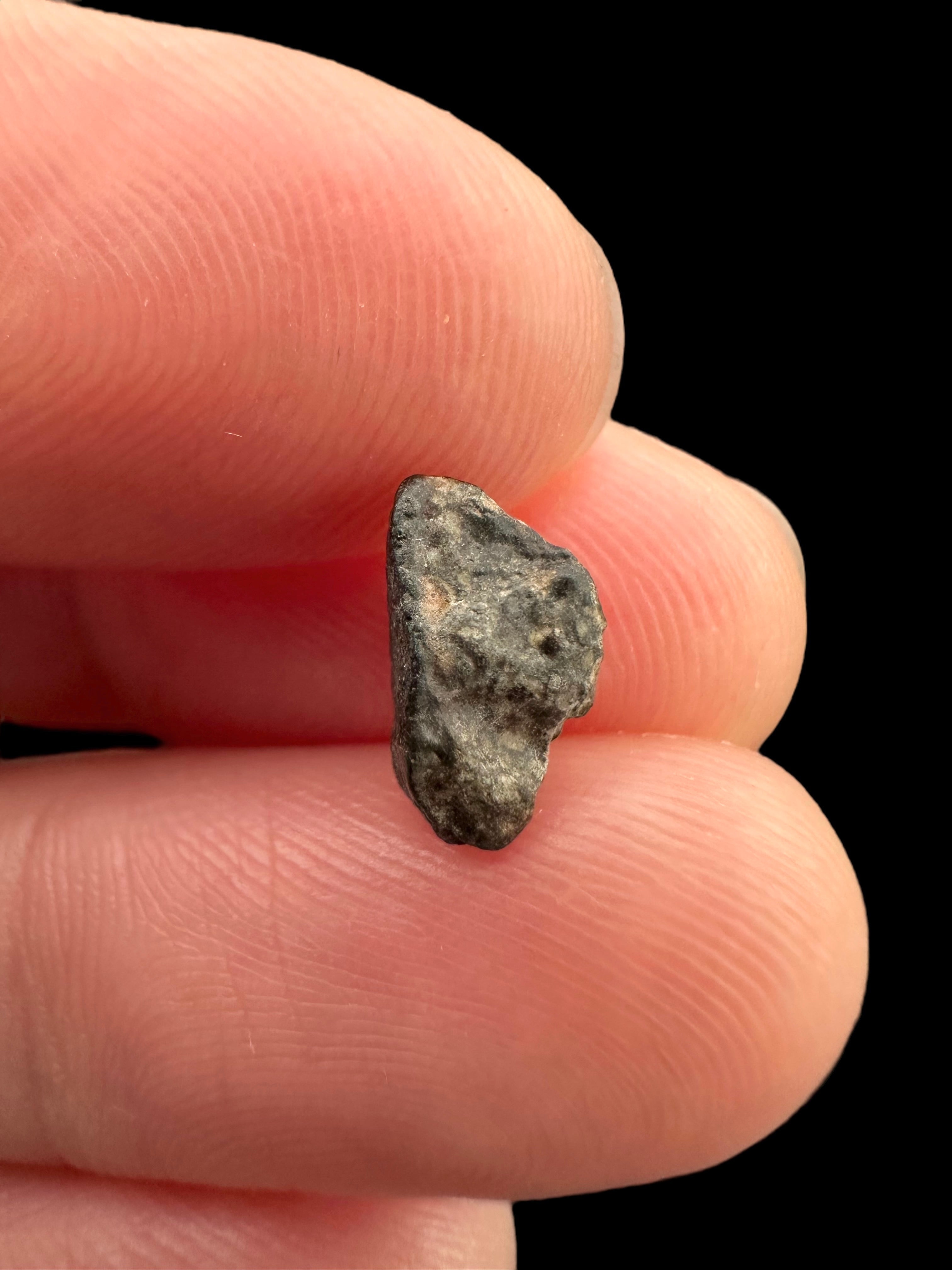 Meteorite NWA 869 – 0,3g – Northwest Africa - MENW16