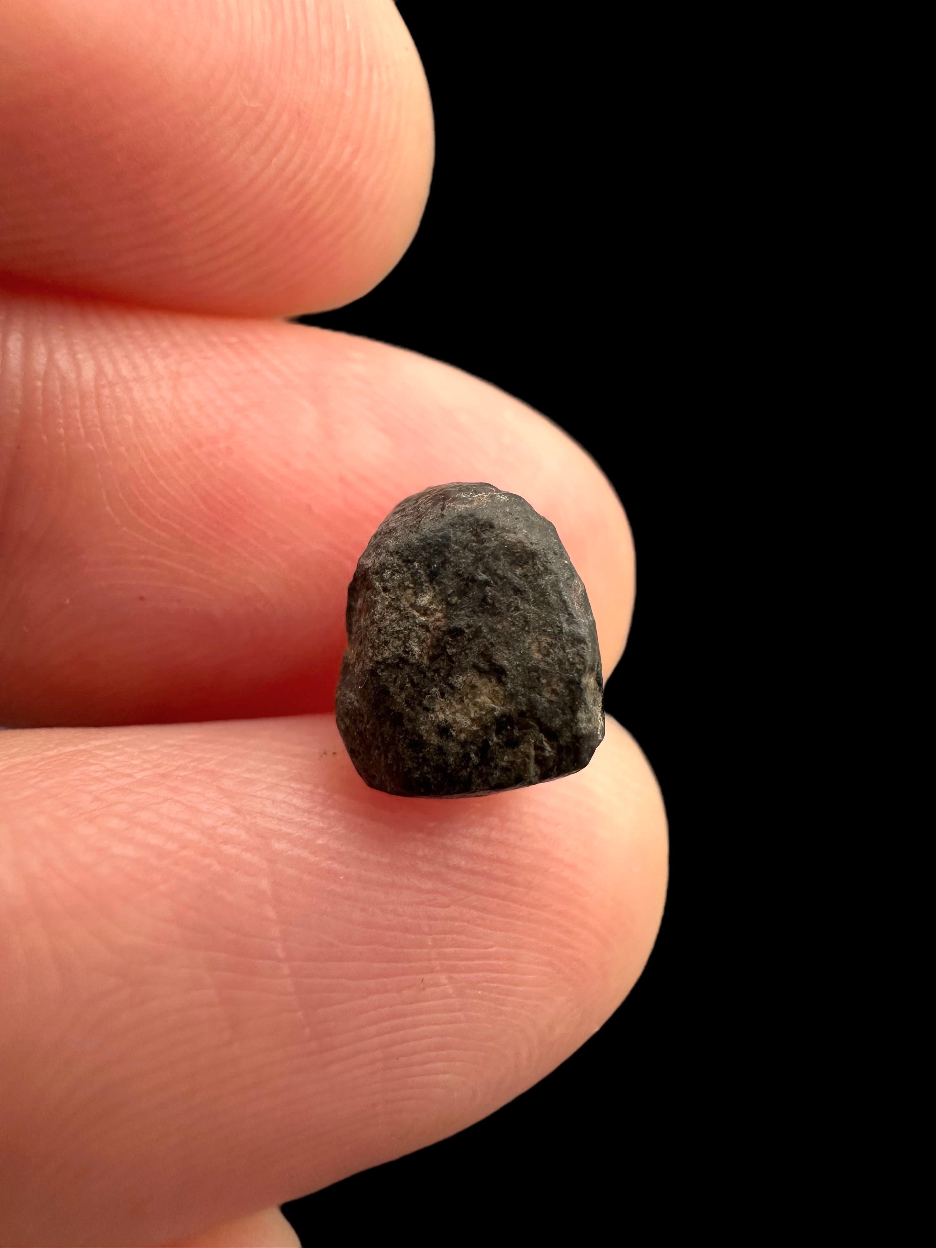 Meteorite NWA 869 – 0,5g – Northwest Africa - MENW17
