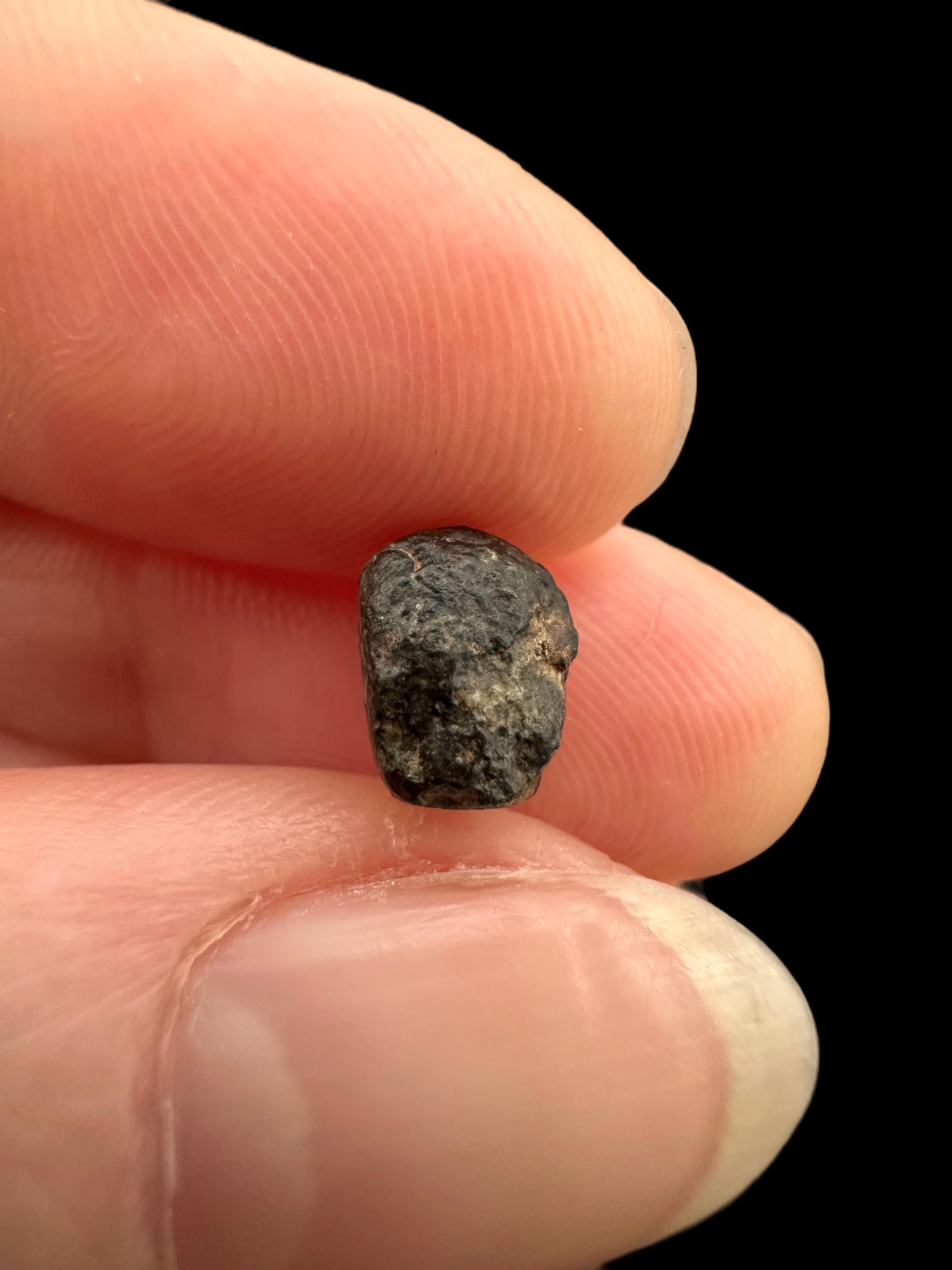 Meteorite NWA 869 – 0,5g – Northwest Africa - MENW17