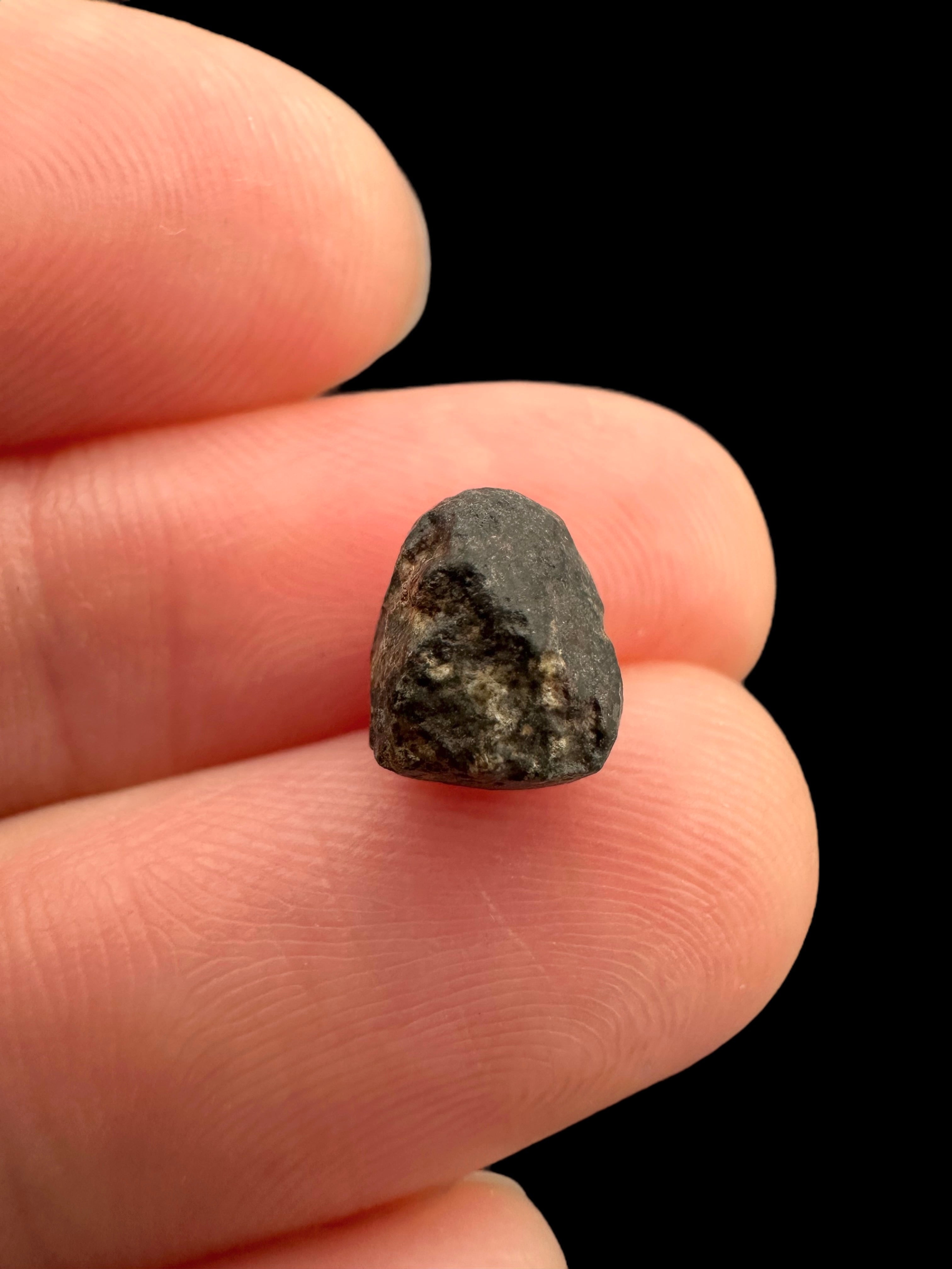 Meteorite NWA 869 – 0,5g – Northwest Africa - MENW17