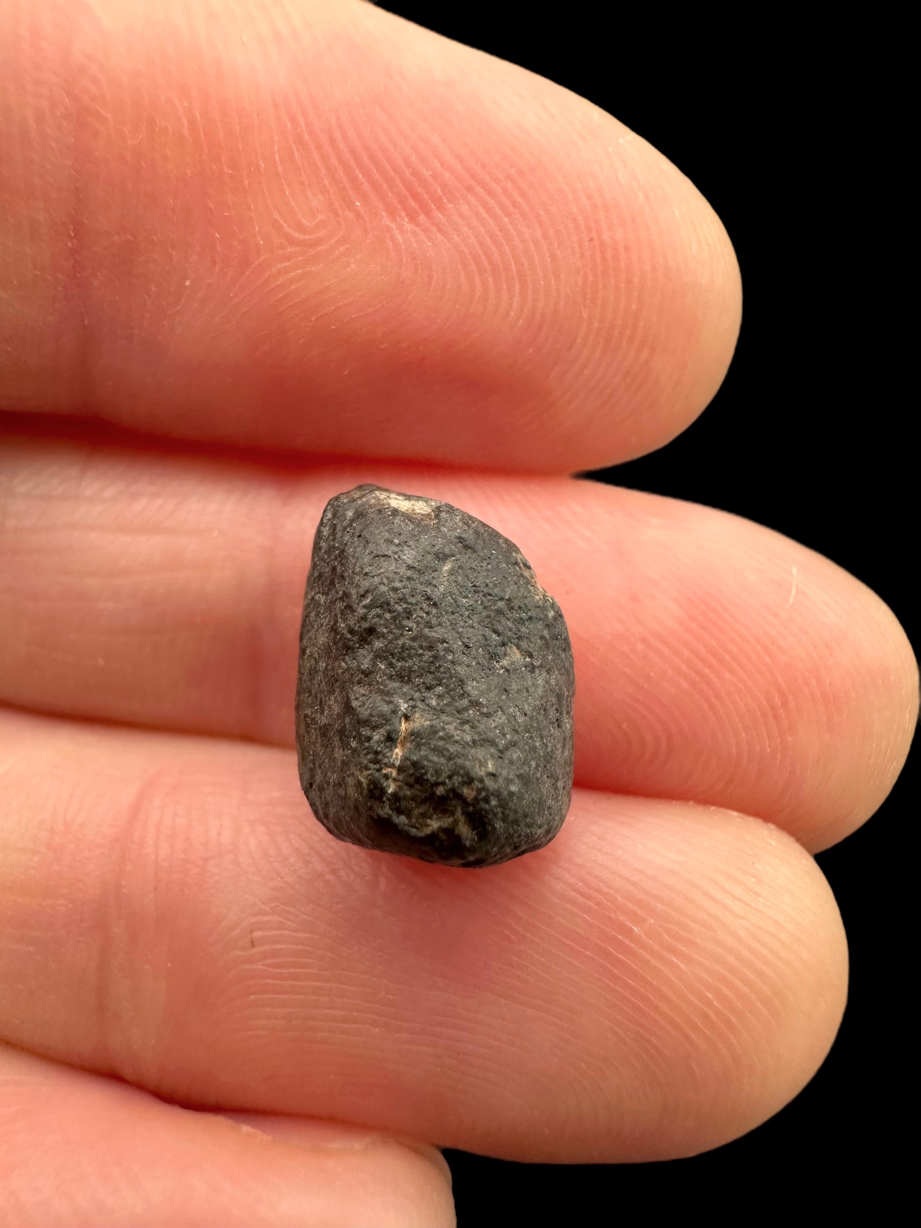 Meteorite NWA 869 – 1,1g – Northwest Africa - MENW18