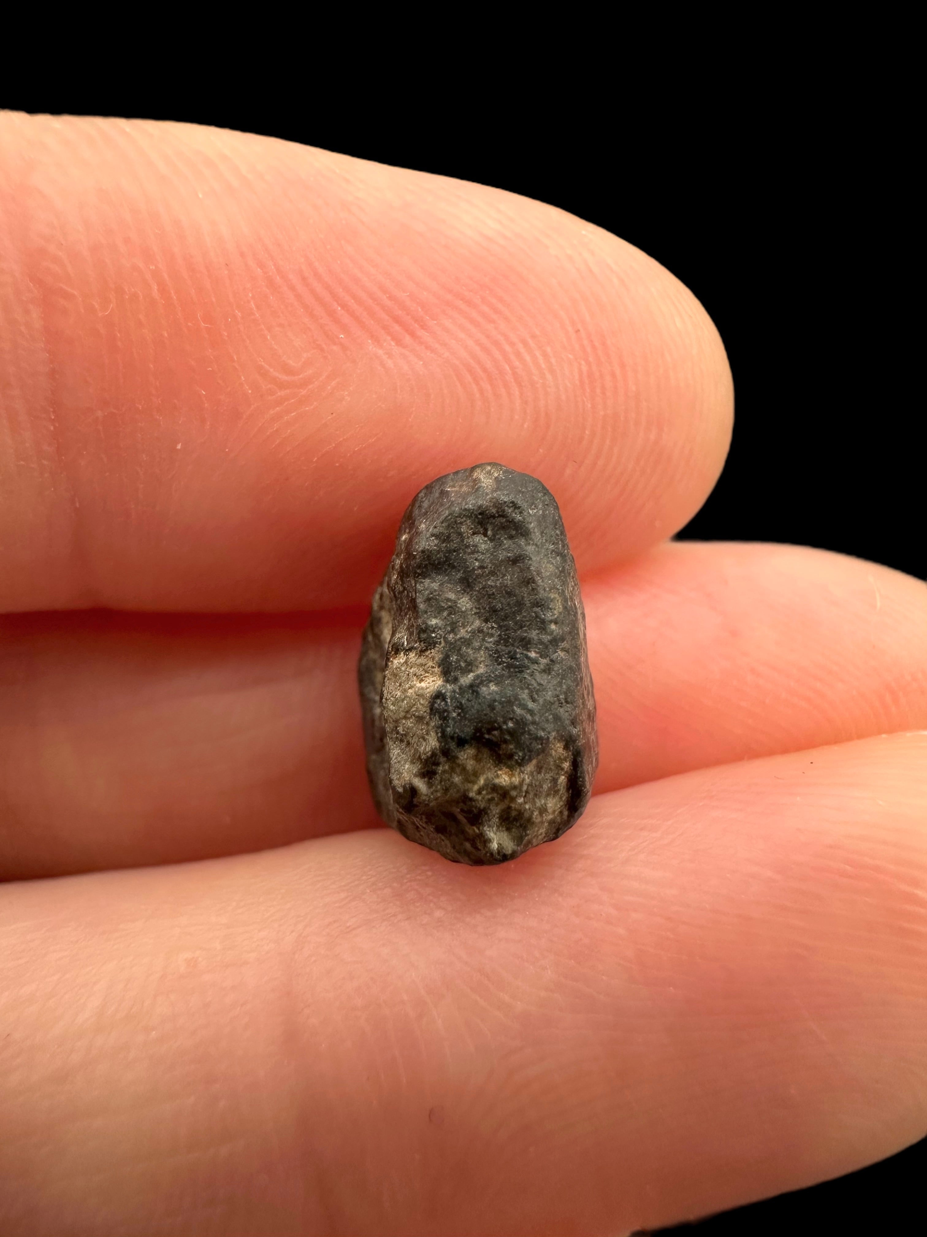 Meteorite NWA 869 – 1,1g – Northwest Africa - MENW18