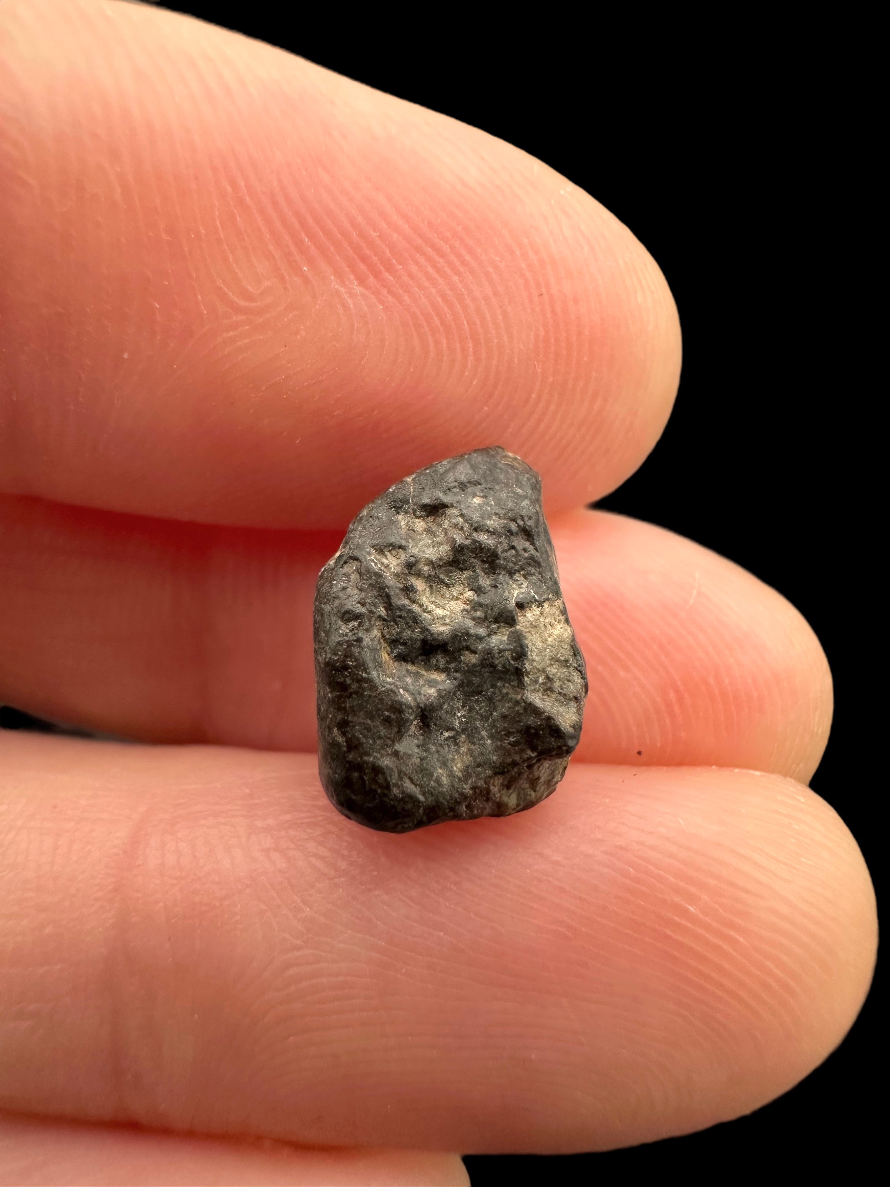 Meteorite NWA 869 – 1,1g – Northwest Africa - MENW18