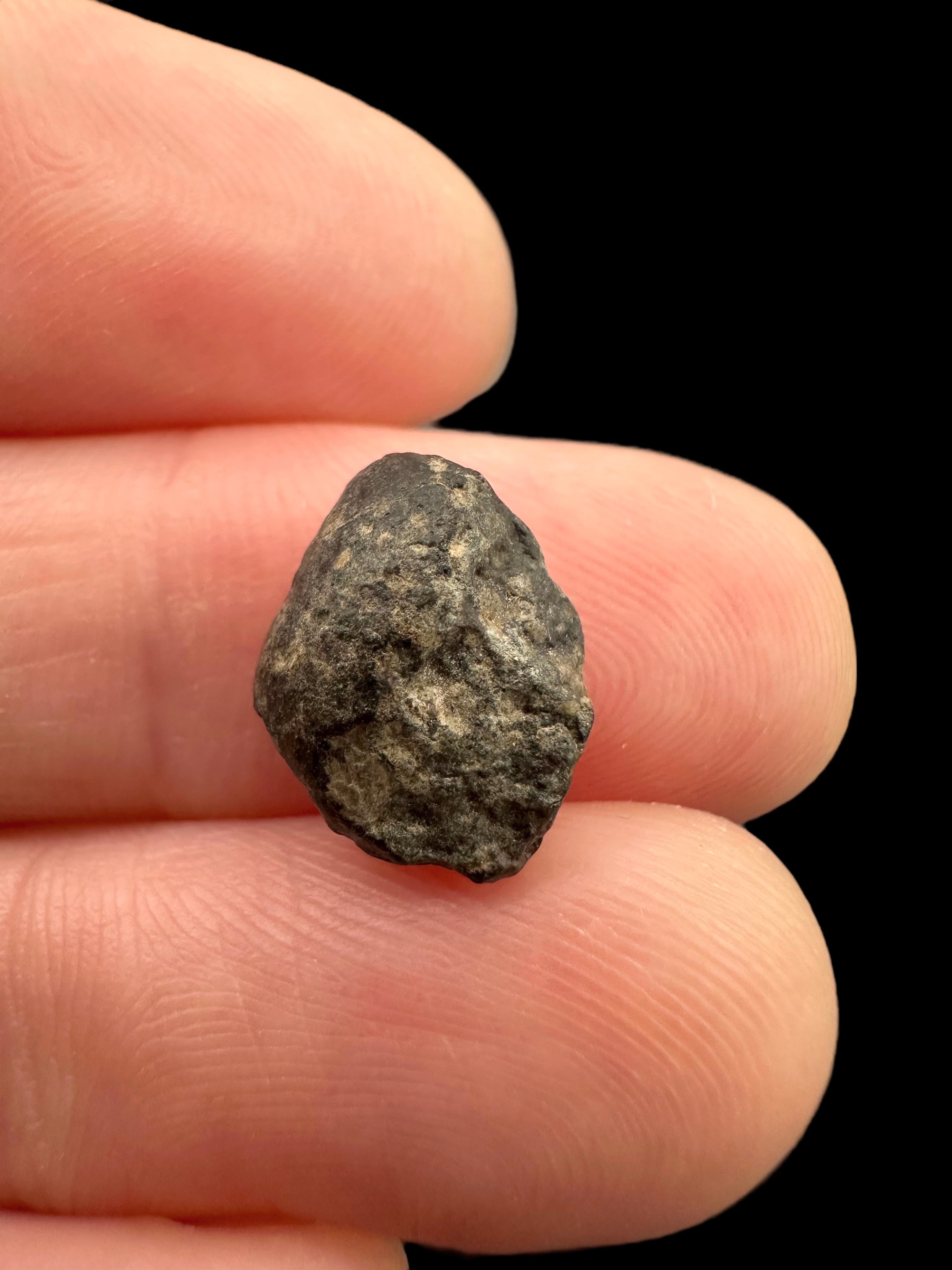 Meteorite NWA 869 – 0,9g – Northwest Africa - MENW19