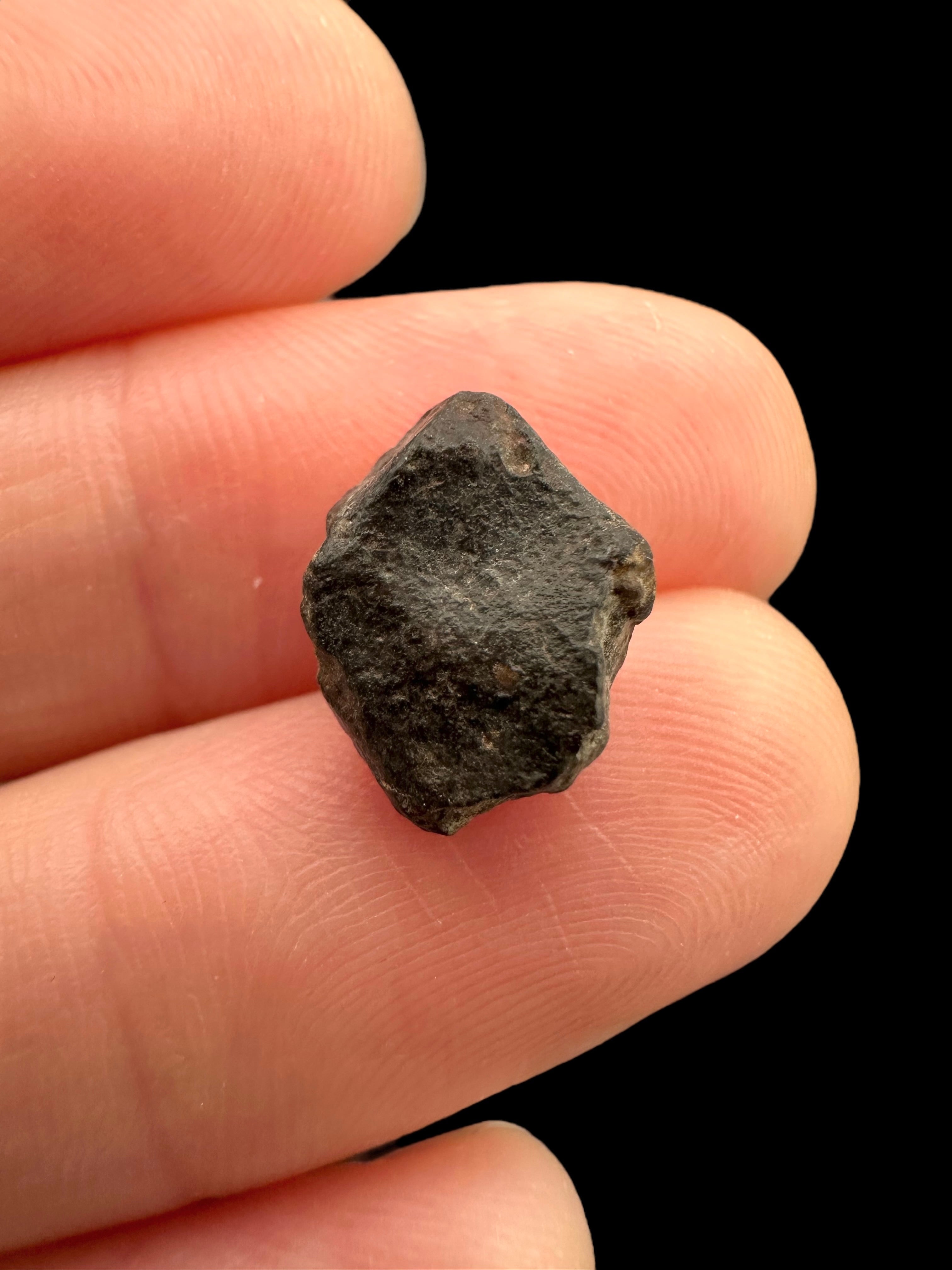 Meteorite NWA 869 – 0,9g – Northwest Africa - MENW19