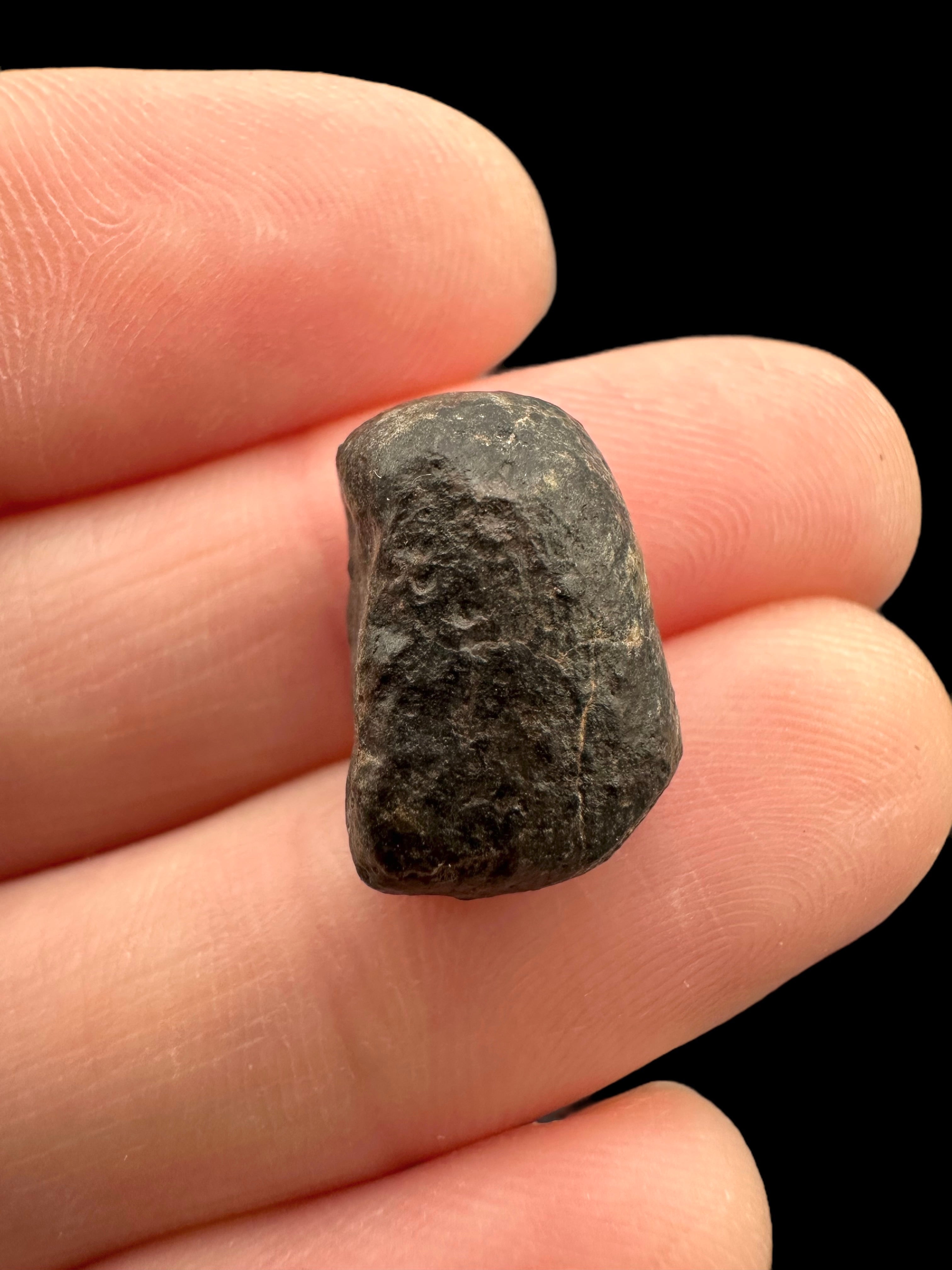 Meteorite NWA 869 – 2,3g – Northwest Africa - MENW22
