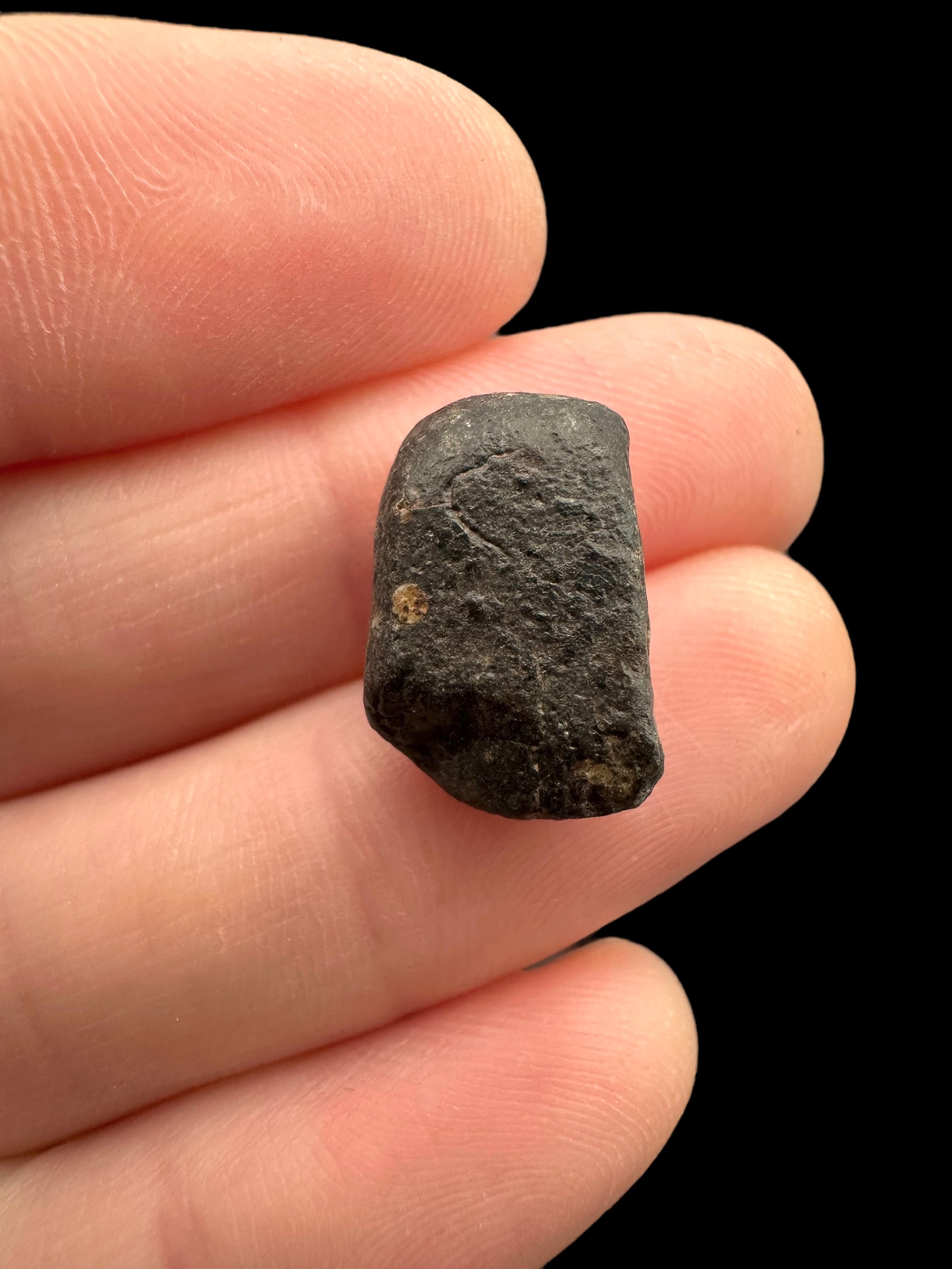 Meteorite NWA 869 – 2,3g – Northwest Africa - MENW22