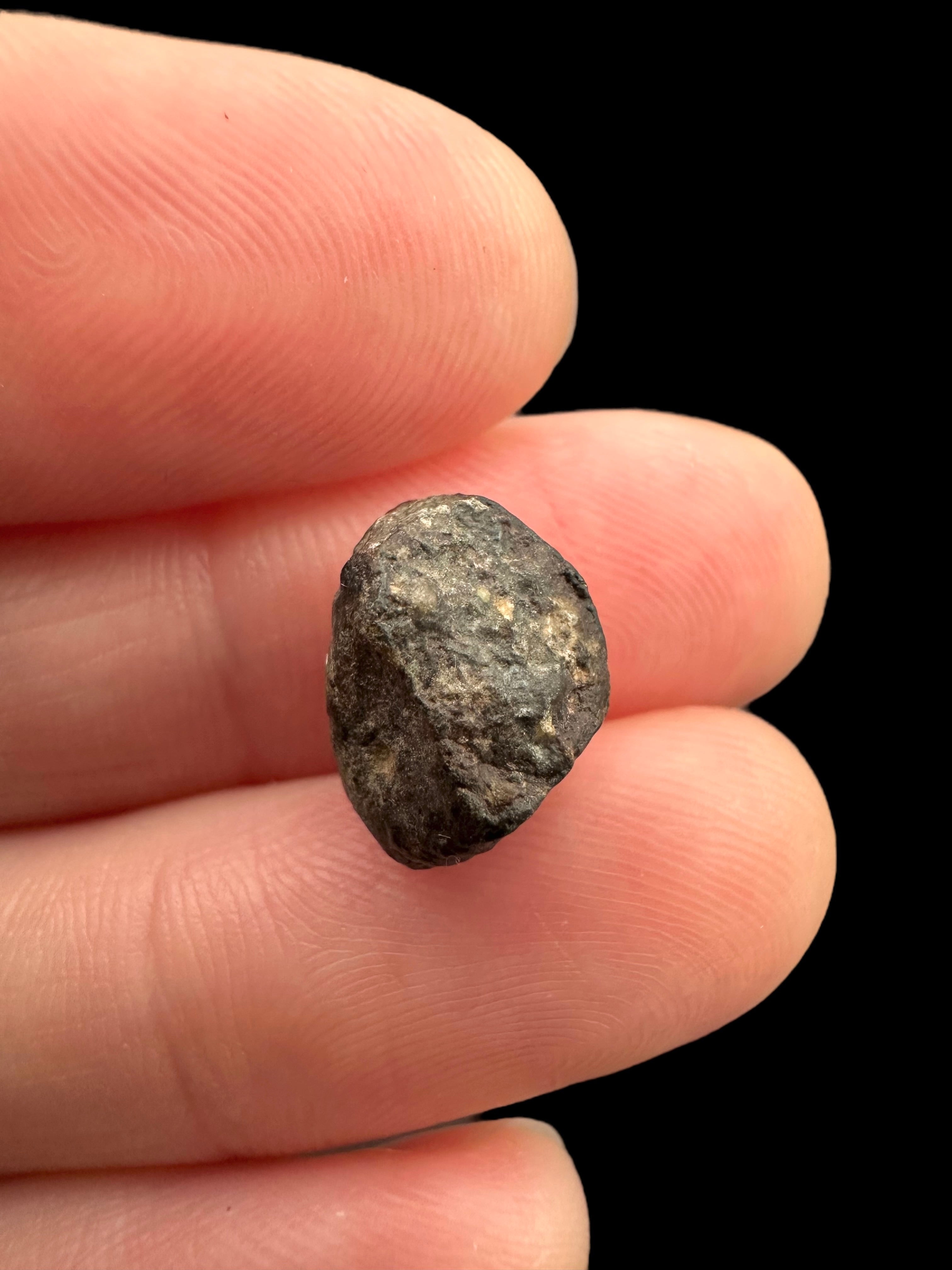 Meteorite NWA 869 – 1,3g – Northwest Africa - MENW23