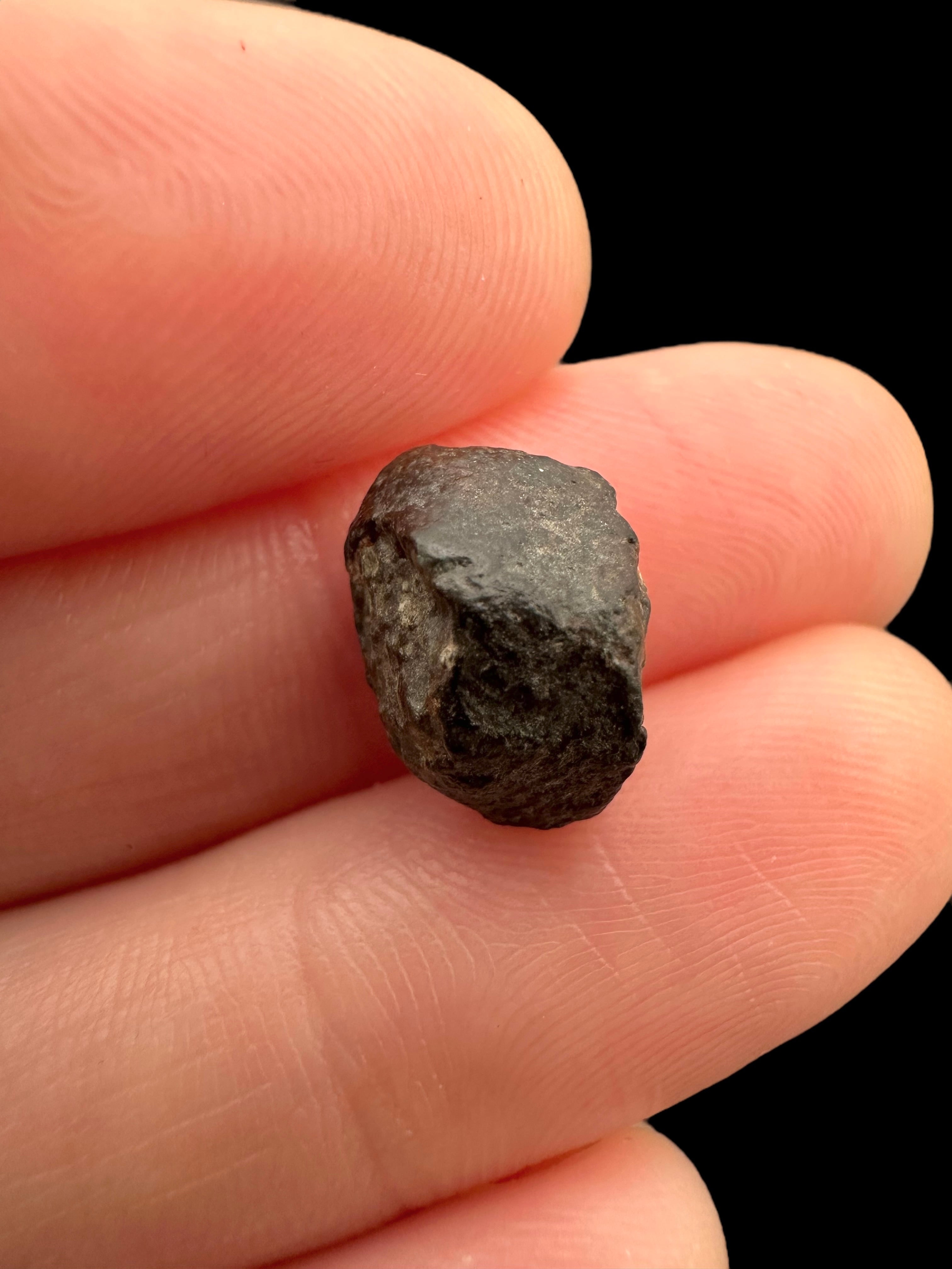 Meteorite NWA 869 – 1,3g – Northwest Africa - MENW23