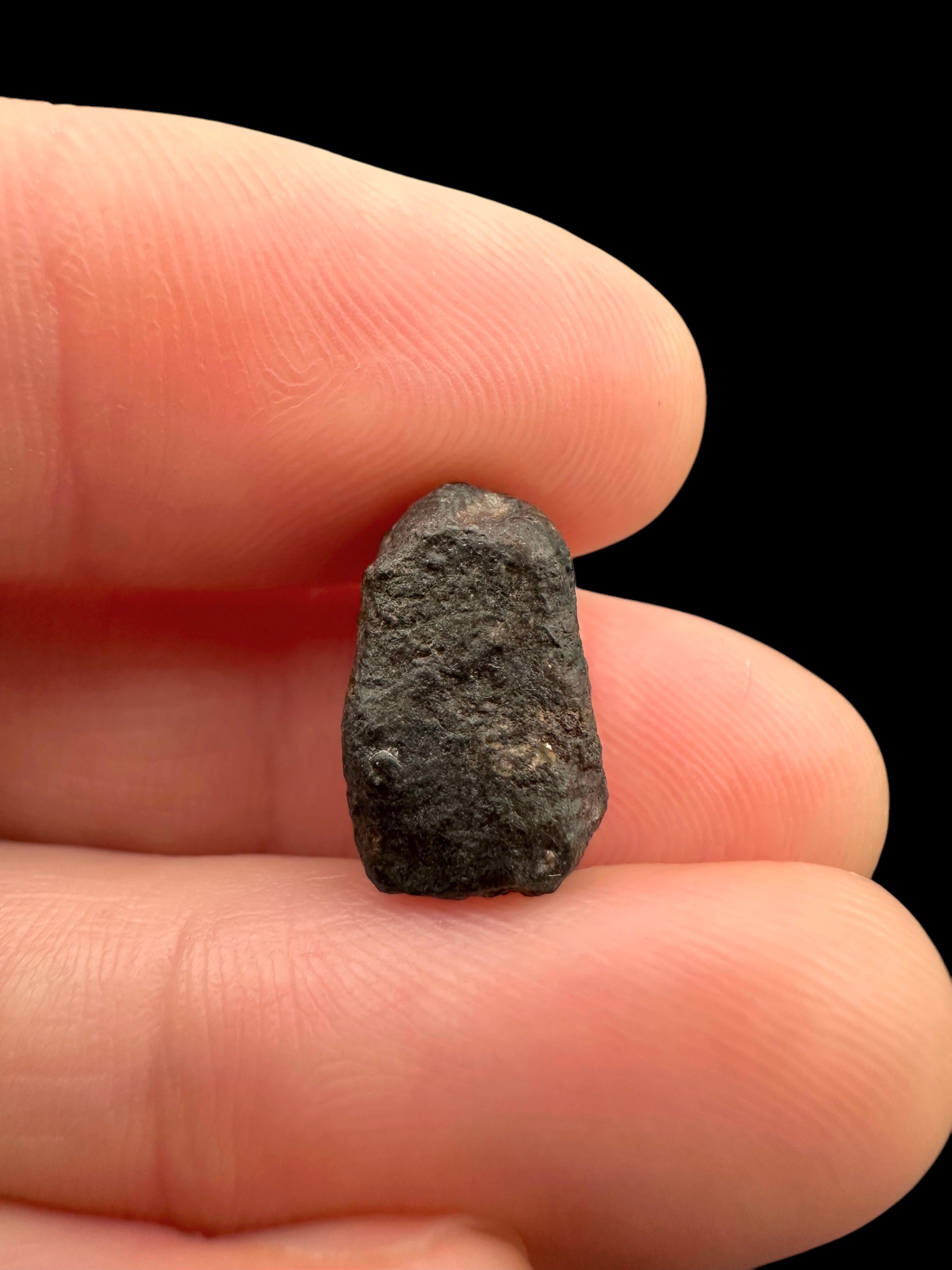 Meteorite NWA 869 – 1,7g – Northwest Africa - MENW24