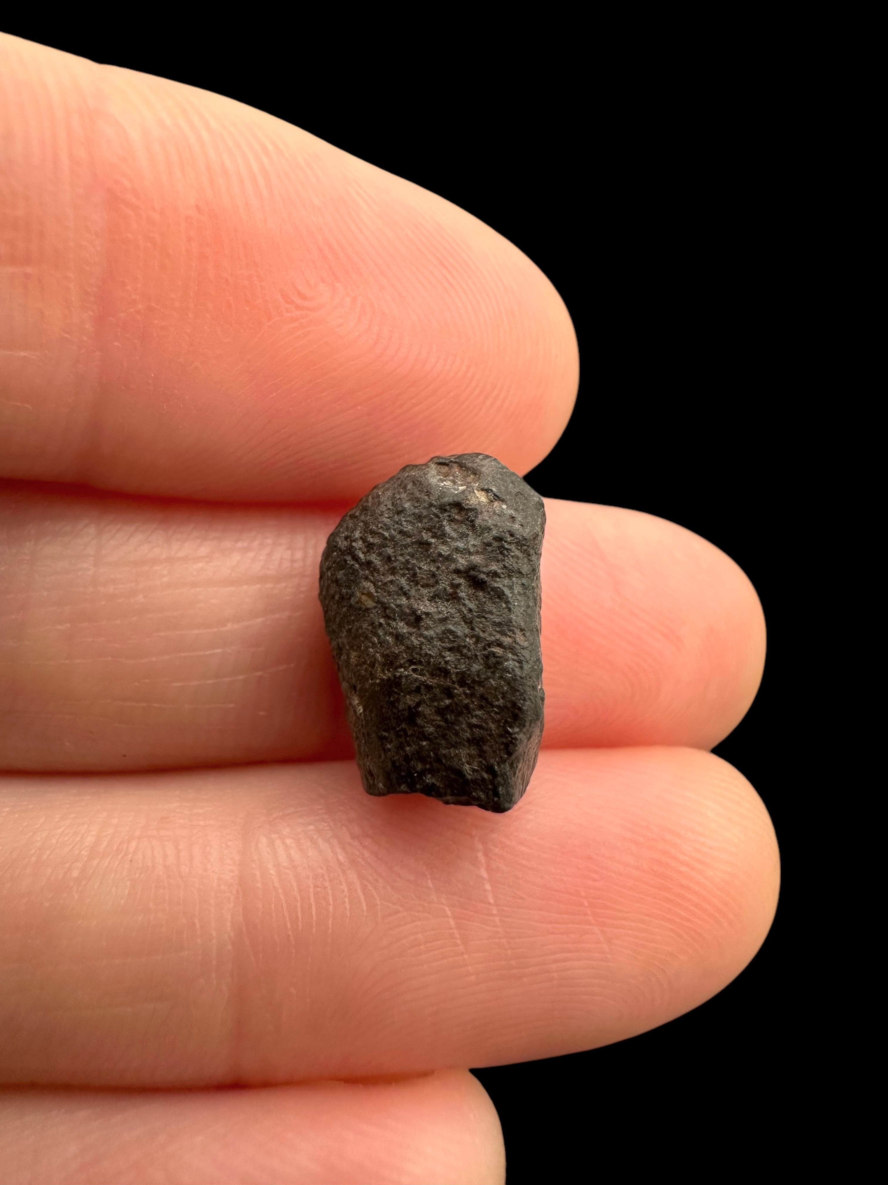 Meteorite NWA 869 – 1,7g – Northwest Africa - MENW24