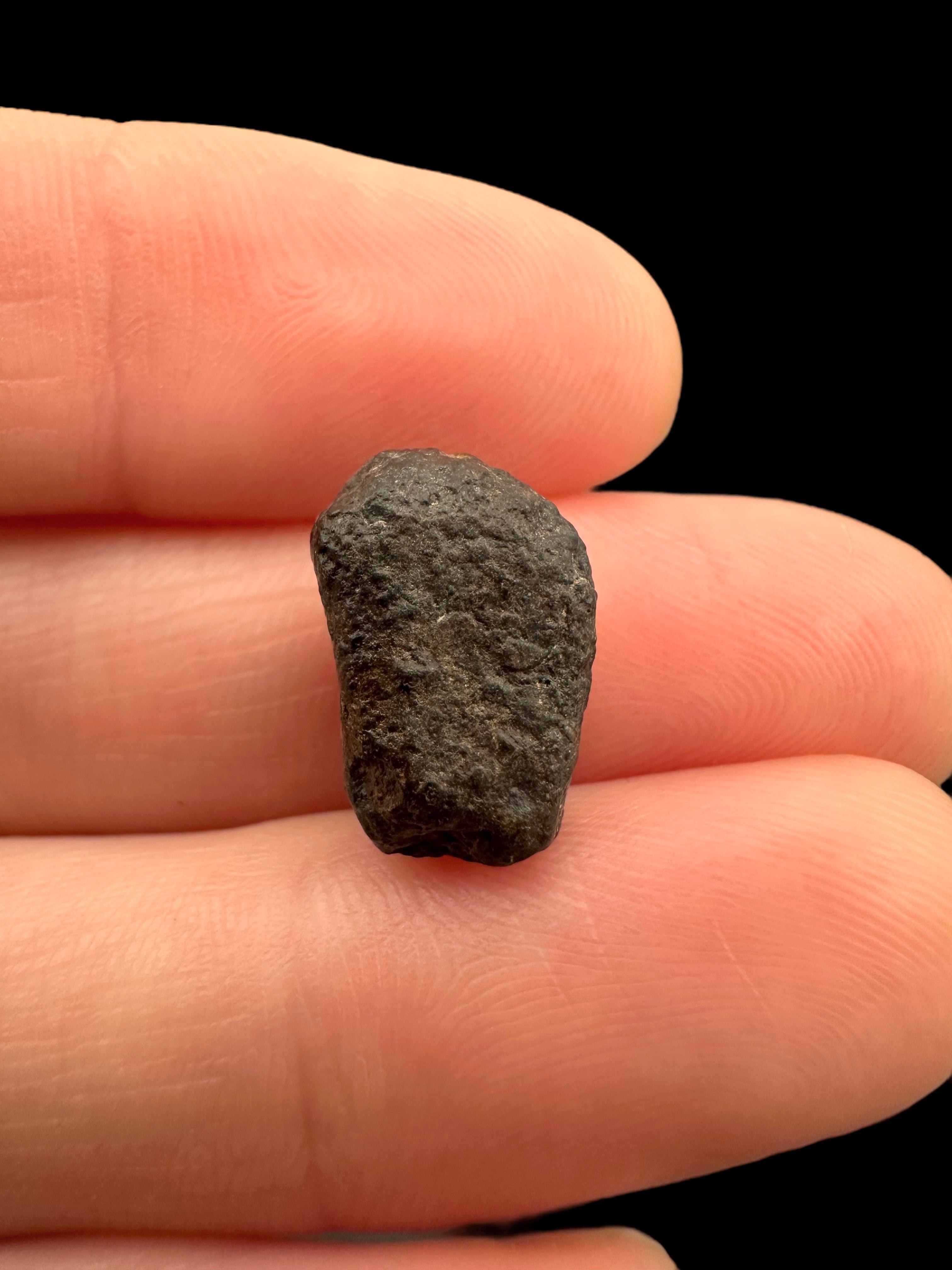 Meteorite NWA 869 – 1,7g – Northwest Africa - MENW24