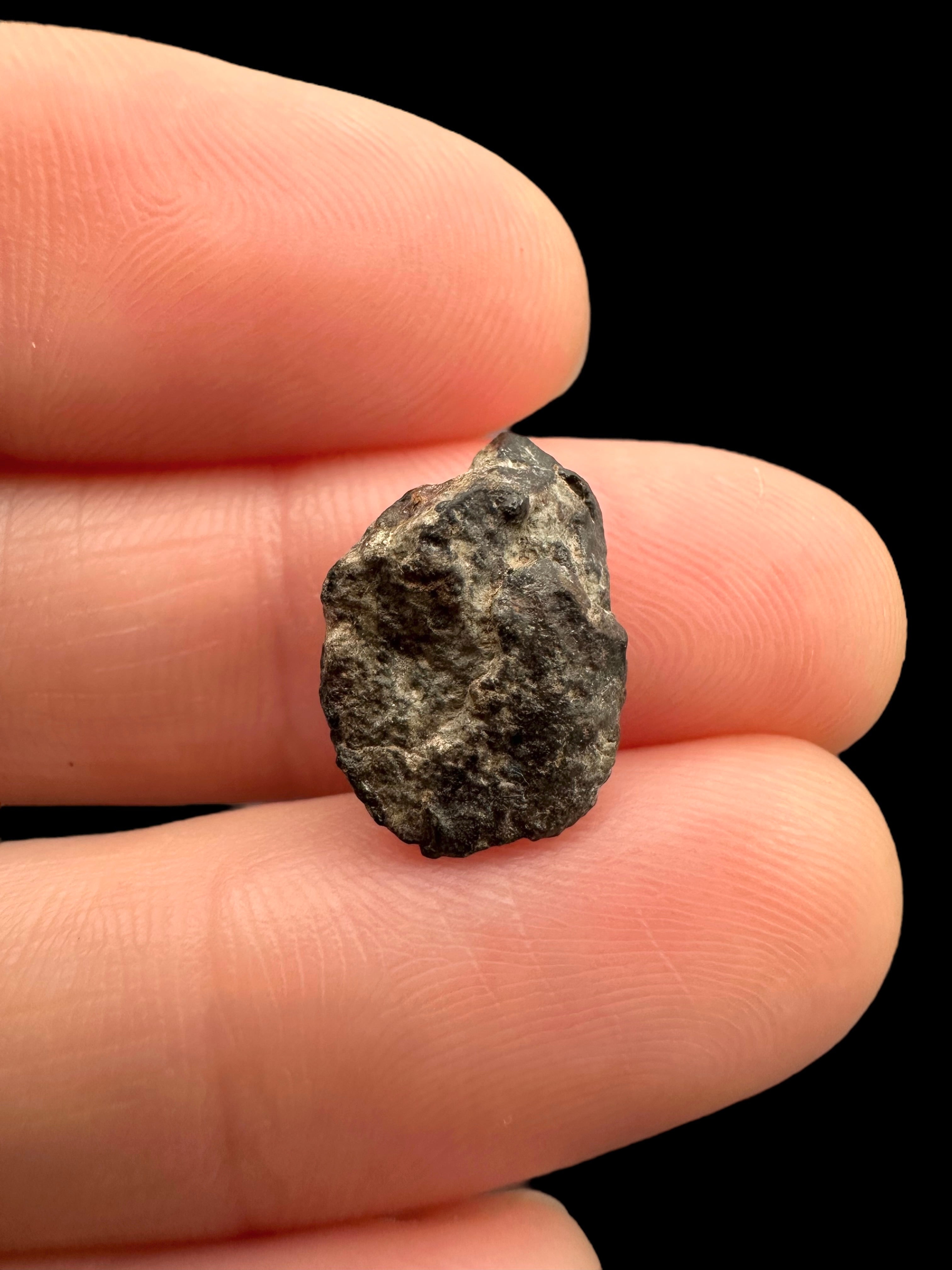 Meteorite NWA 869 – 1,1g – Northwest Africa - MENW25