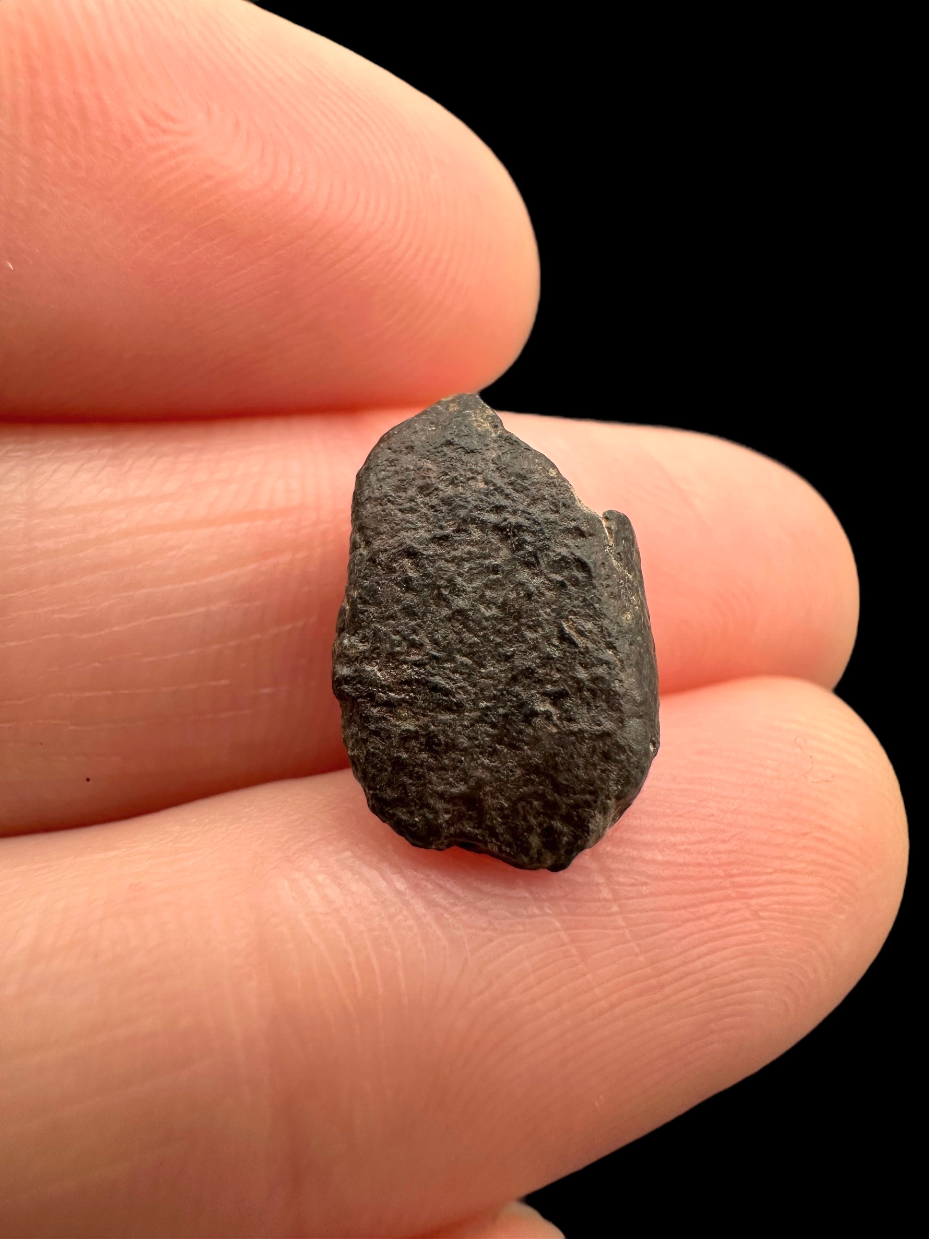 Meteorite NWA 869 – 1,1g – Northwest Africa - MENW25