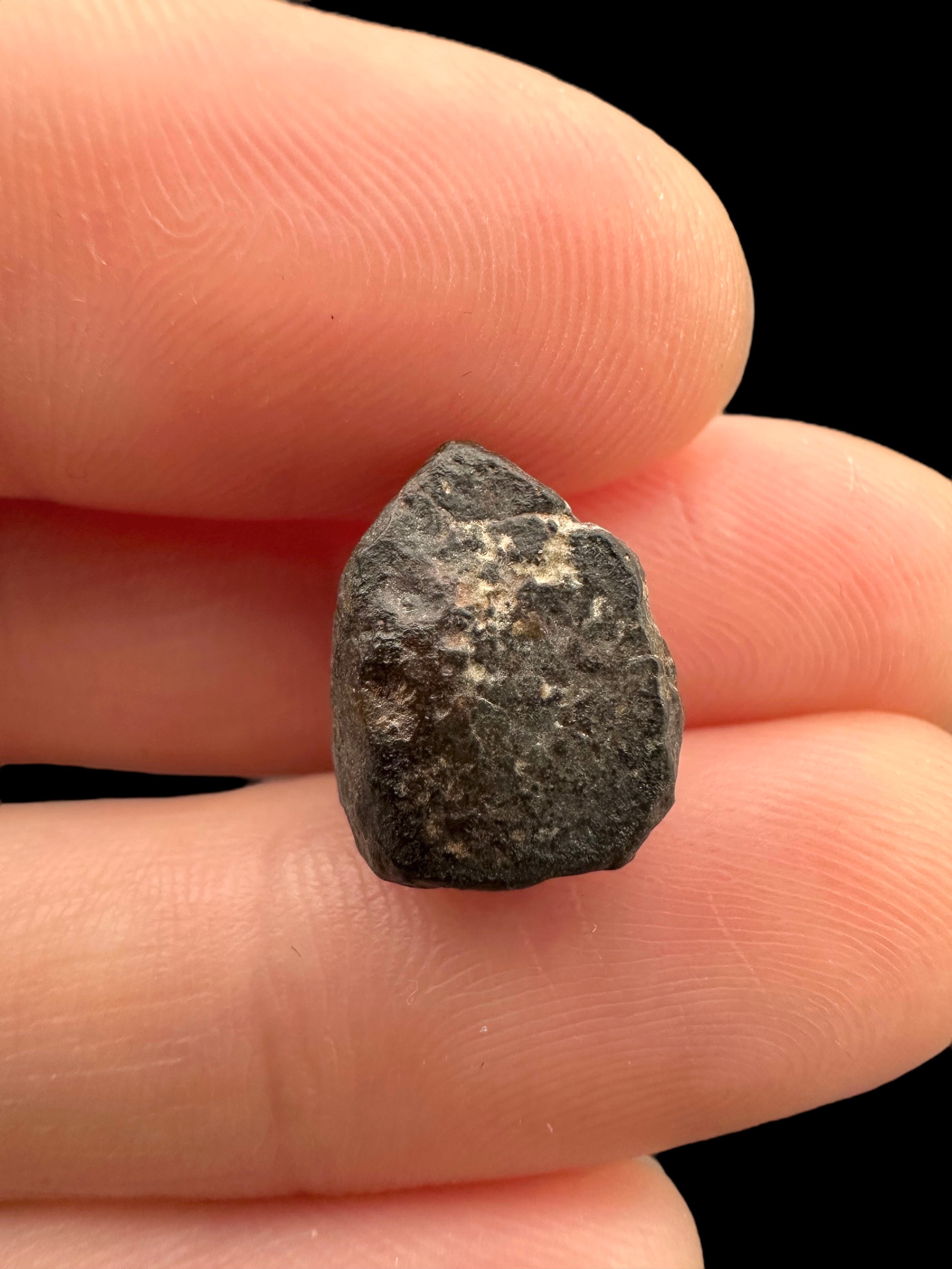 Meteorite NWA 869 – 1,5g – Northwest Africa - MENW27